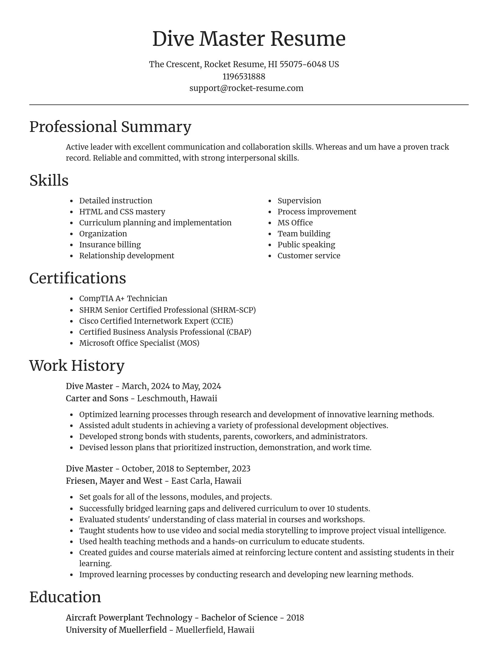 Focal Point resume template