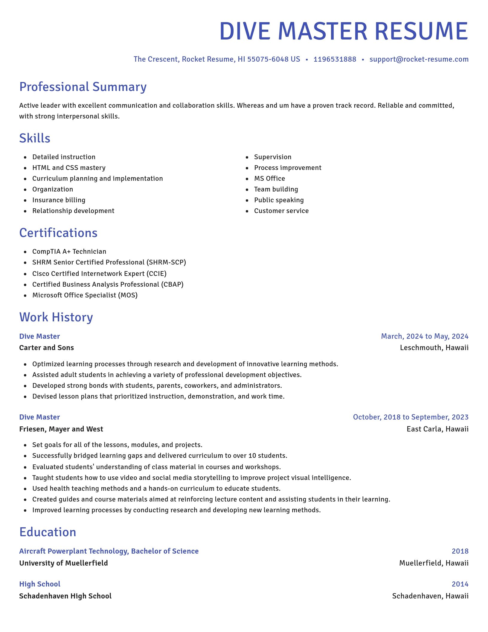 Novel resume template
