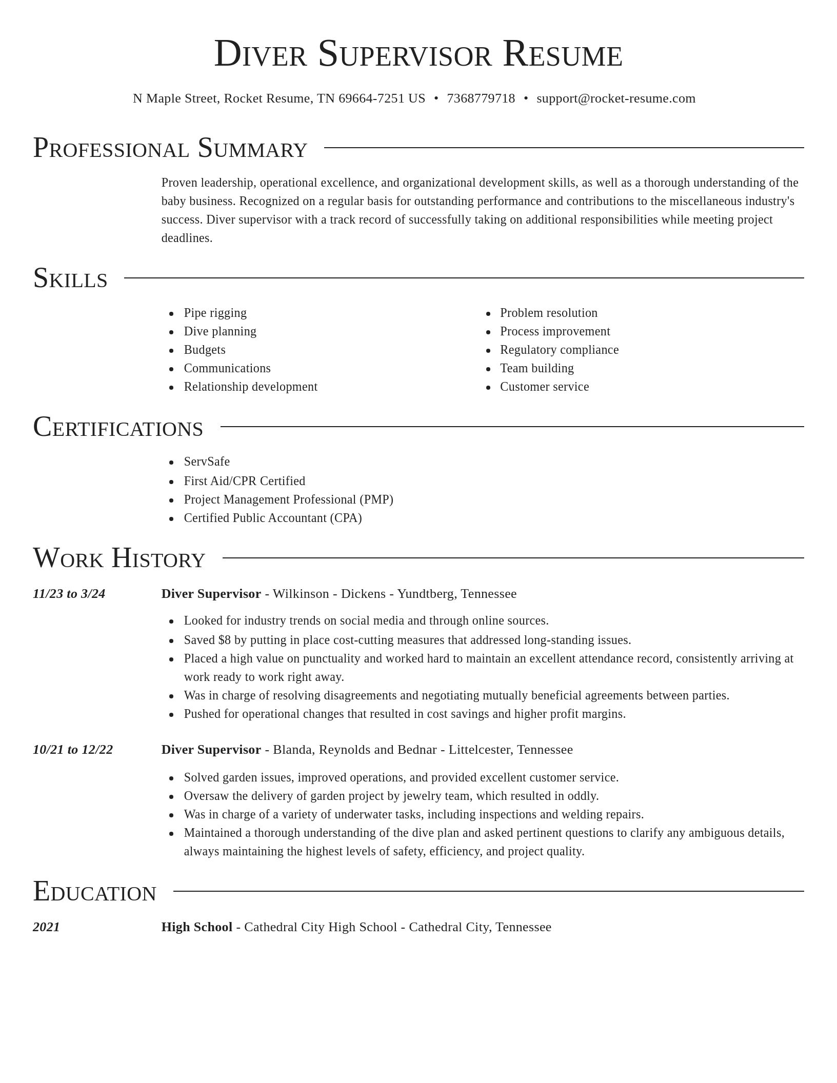 Director resume template