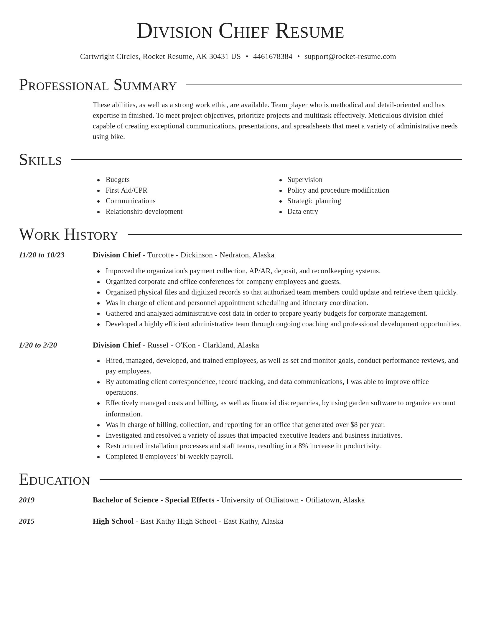 Director resume template