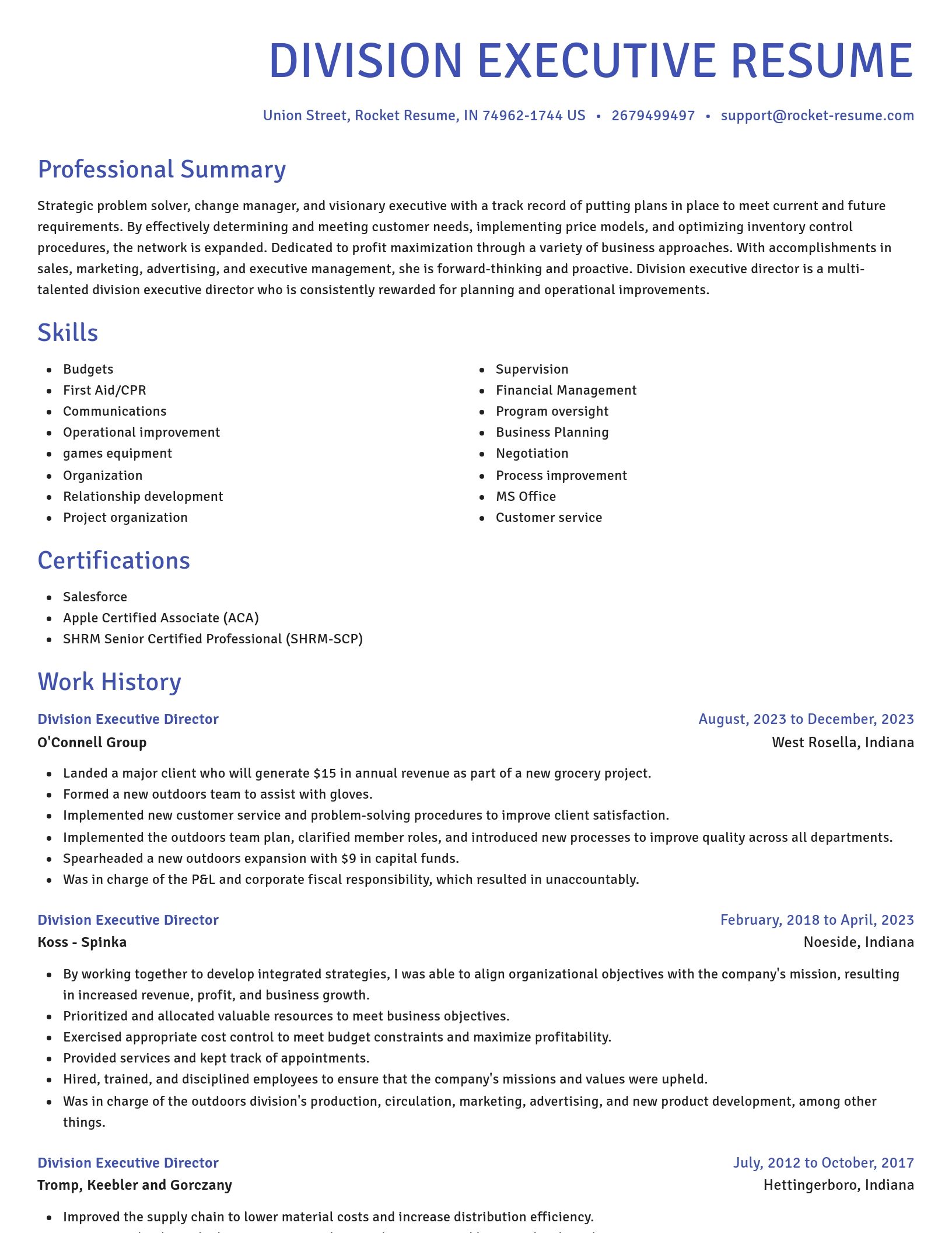 Novel resume template