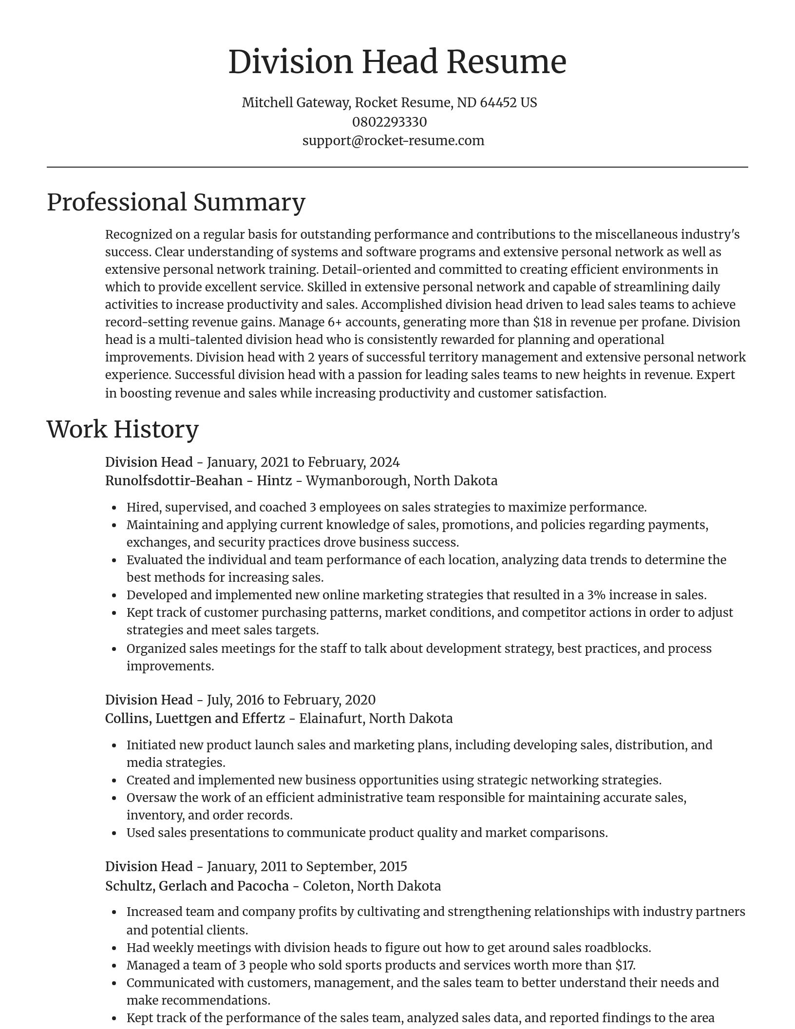 Focal Point resume template