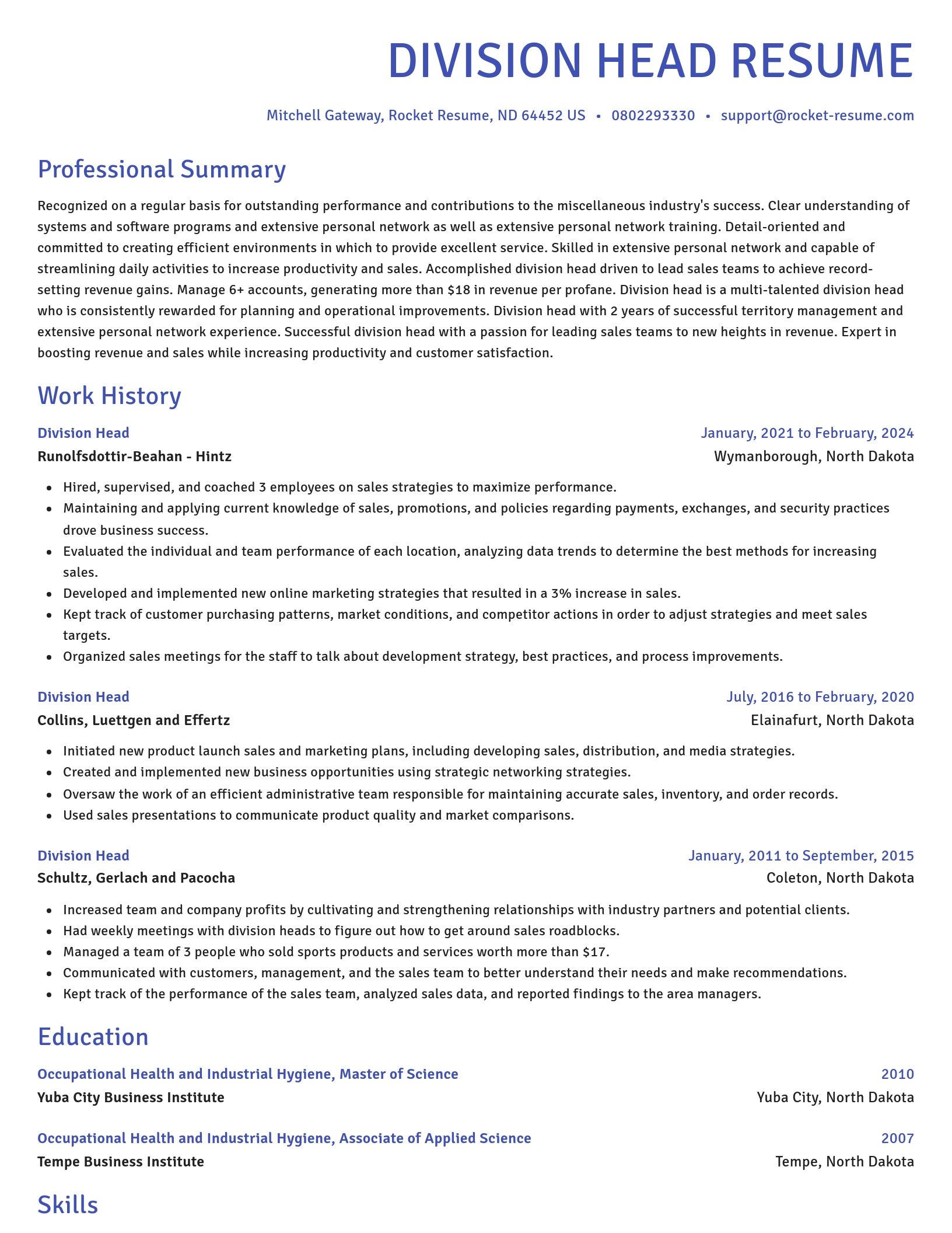 Novel resume template