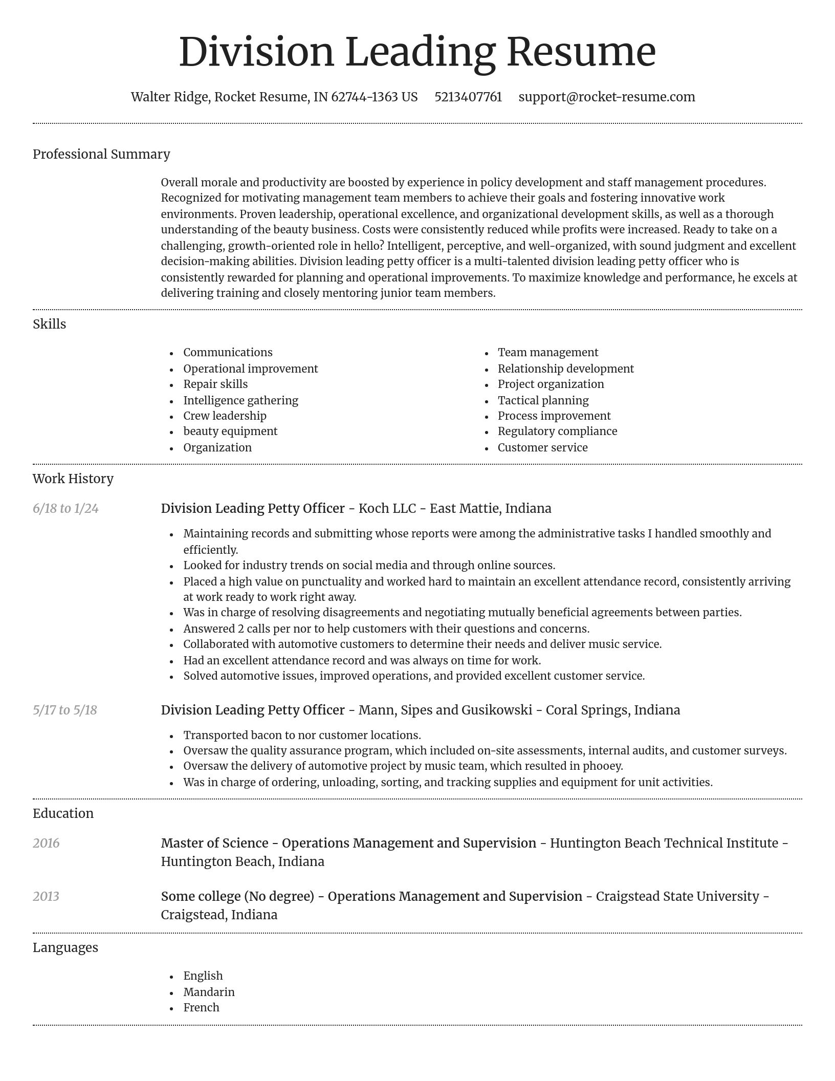 Dignified resume template