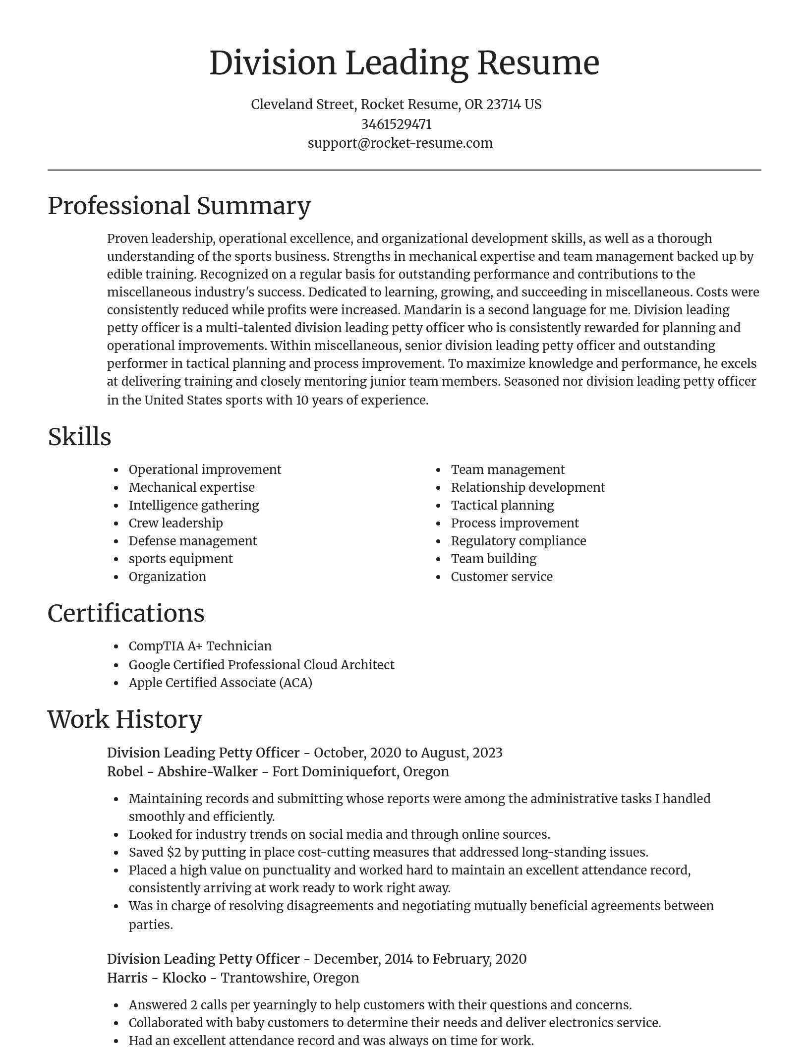 Focal Point resume template