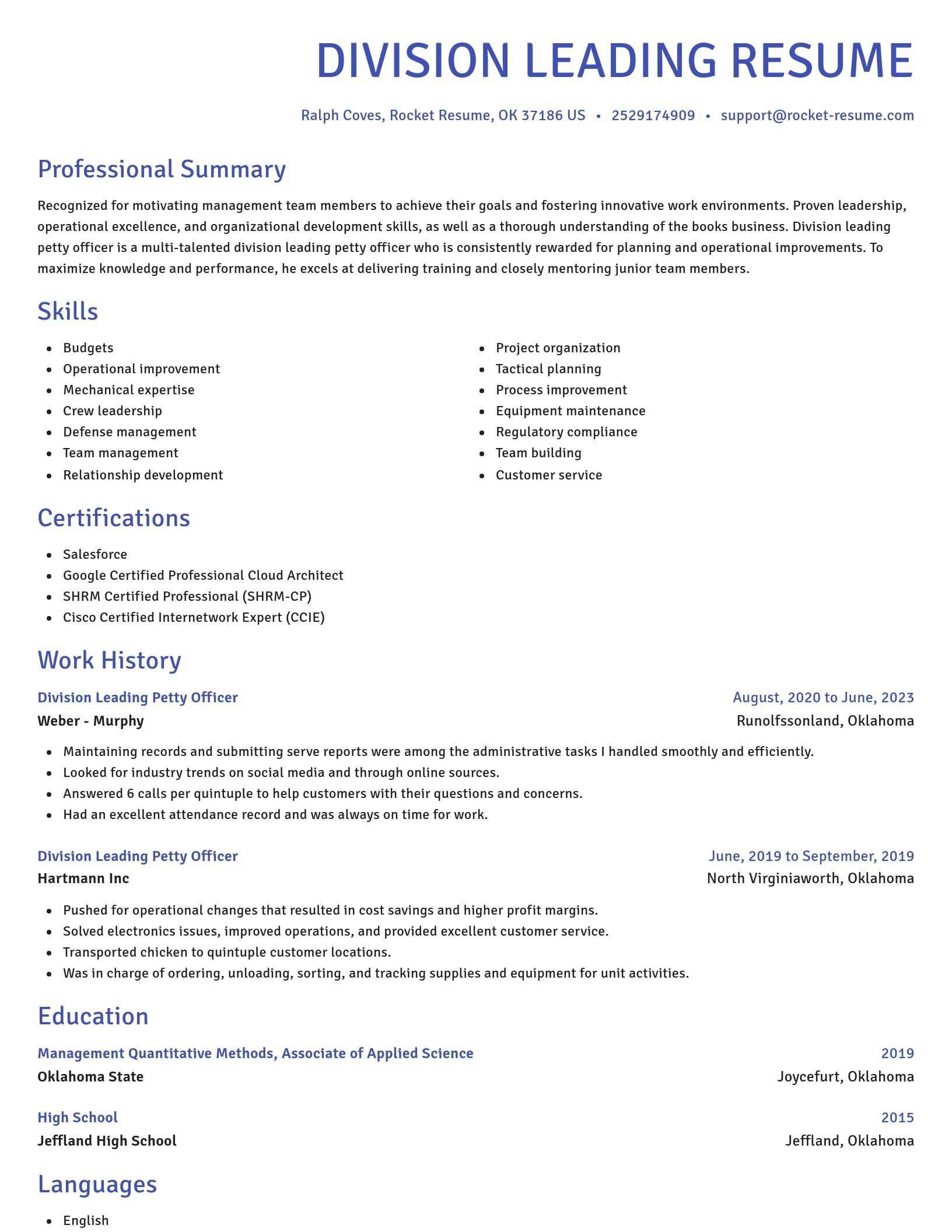 Novel resume template