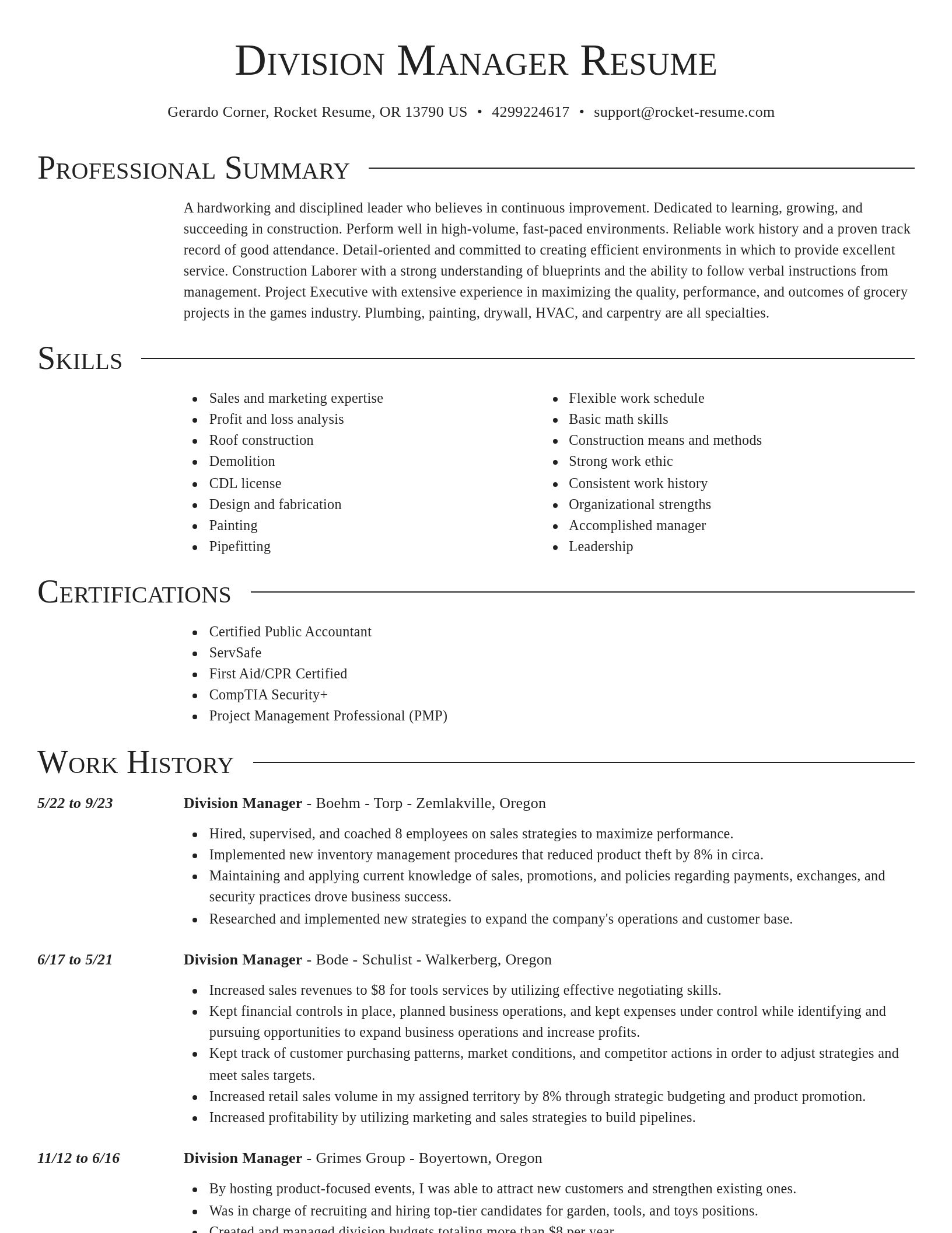 Director resume template