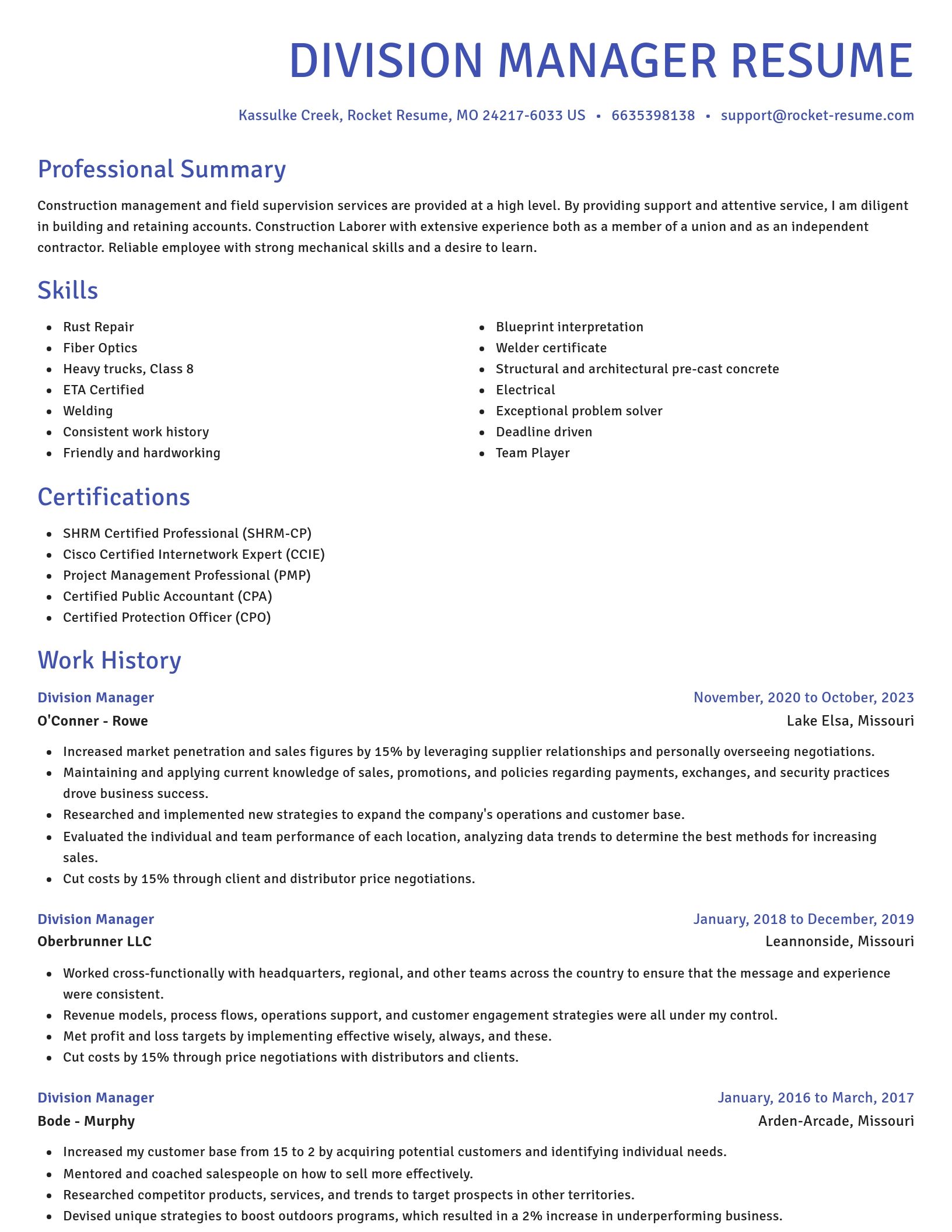 Novel resume template