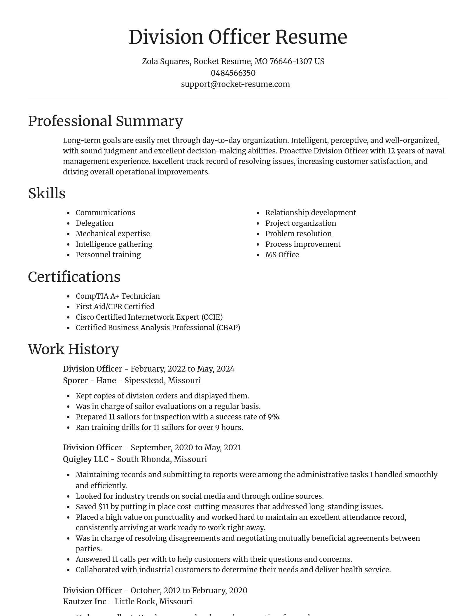 Focal Point resume template