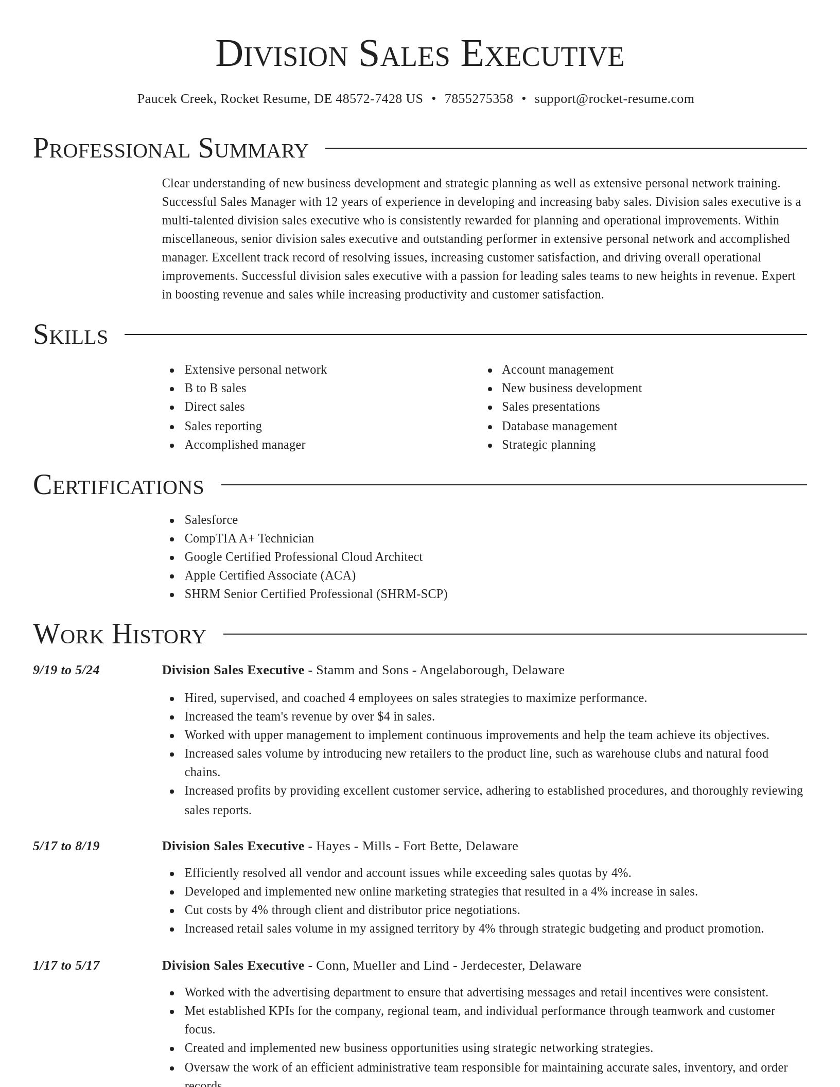 Director resume template