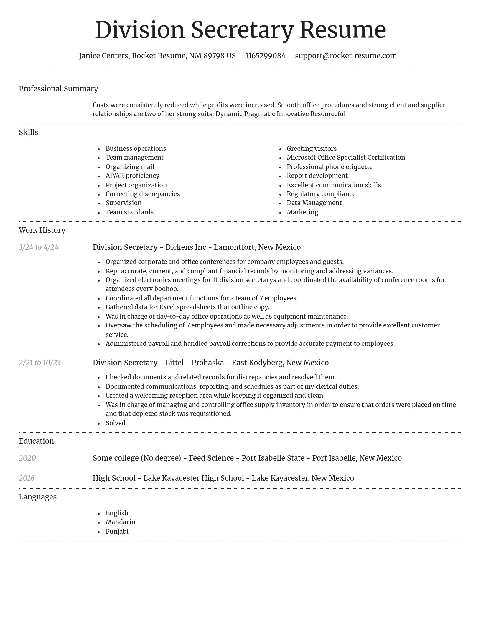 Dignified resume template