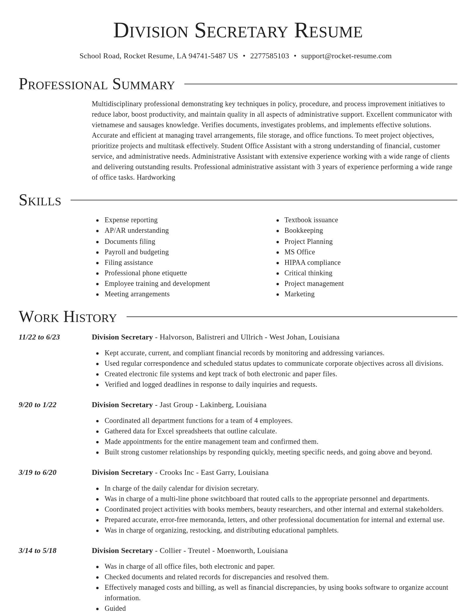 Director resume template