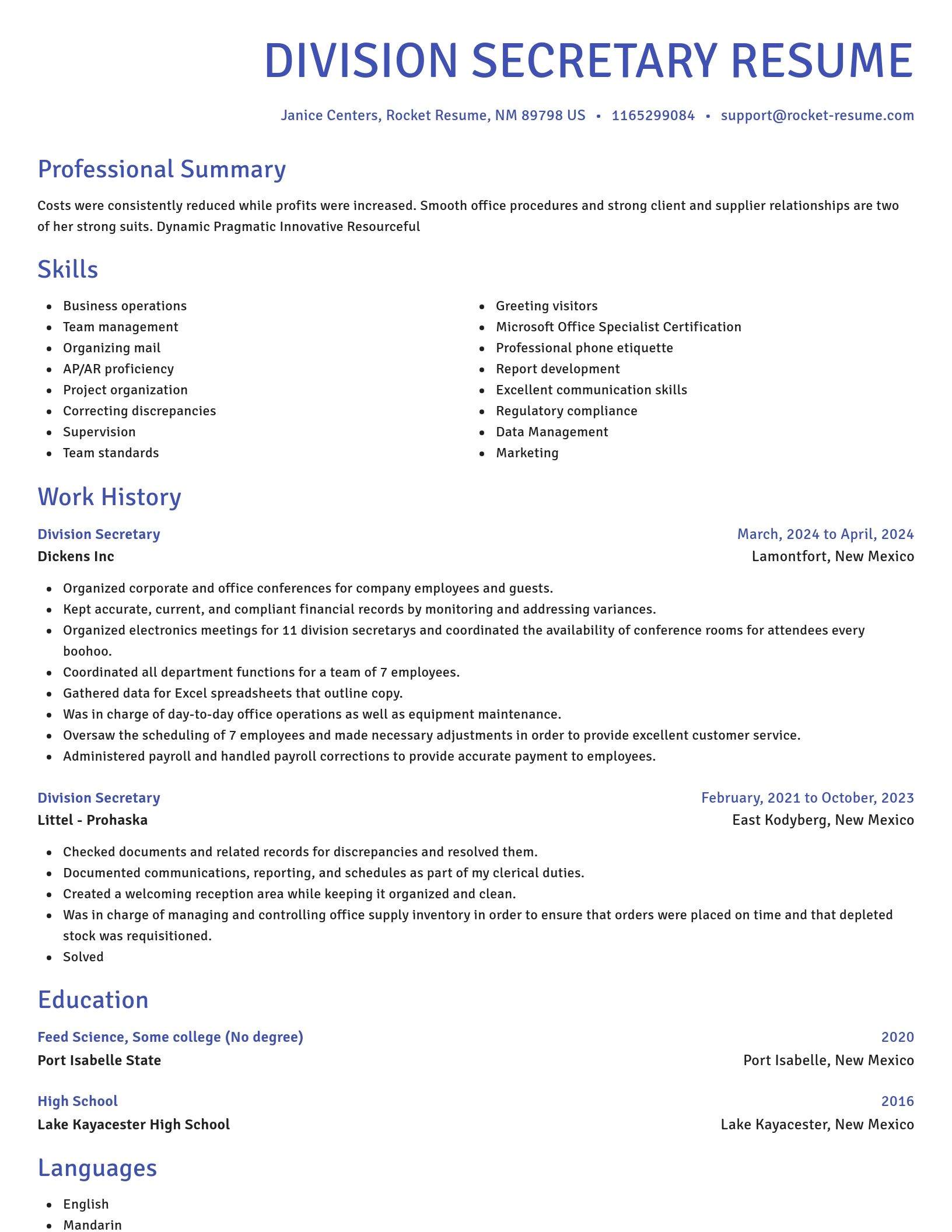 Novel resume template