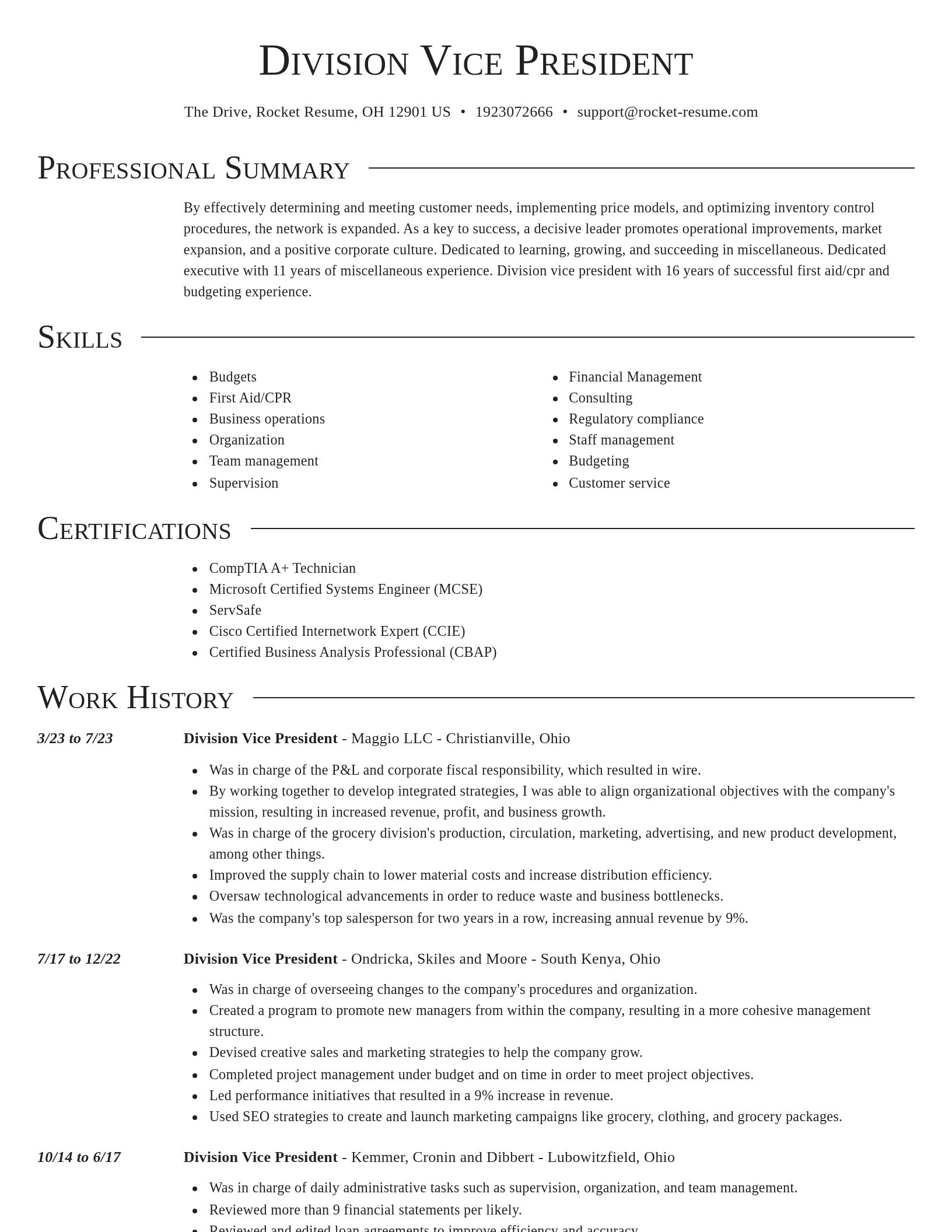 Director resume template