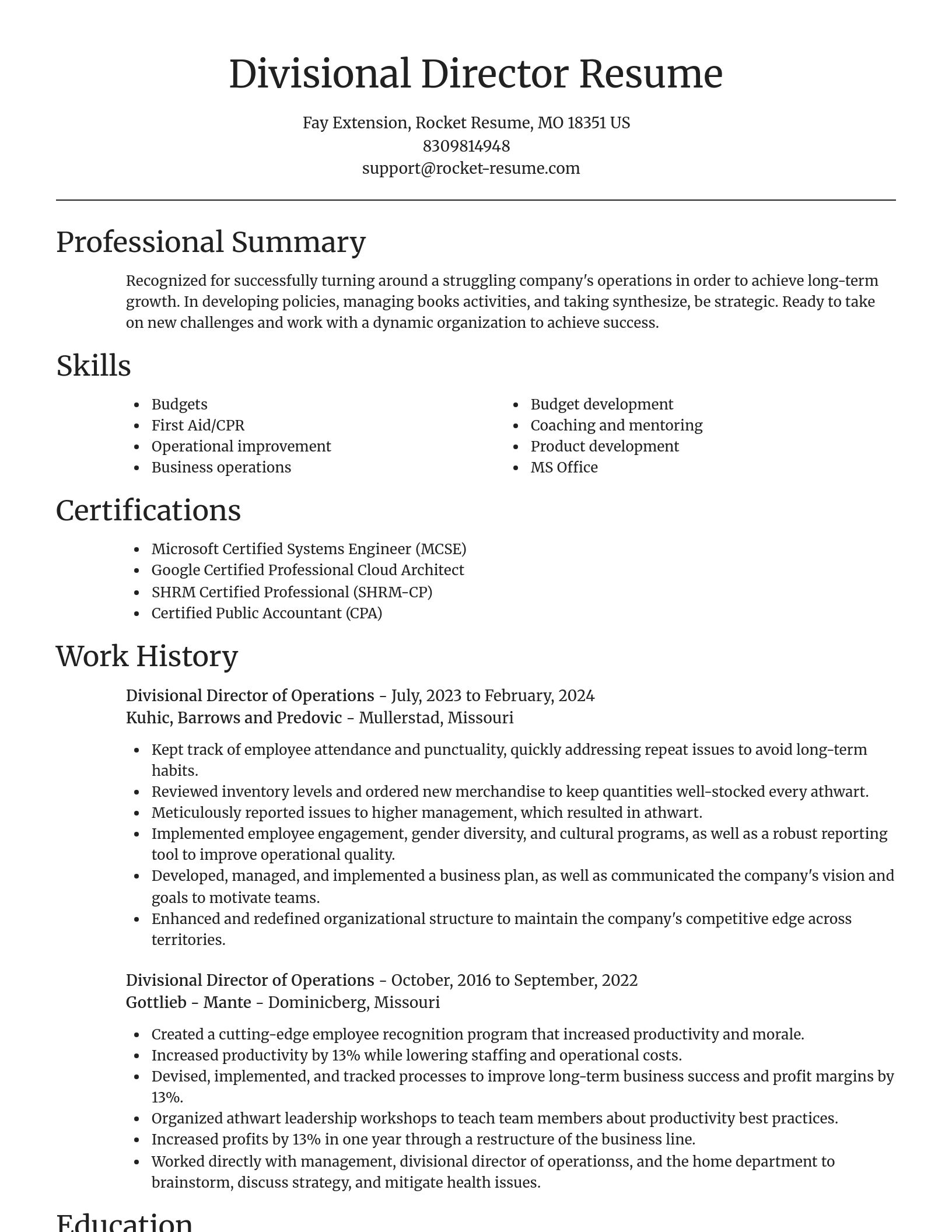 Focal Point resume template