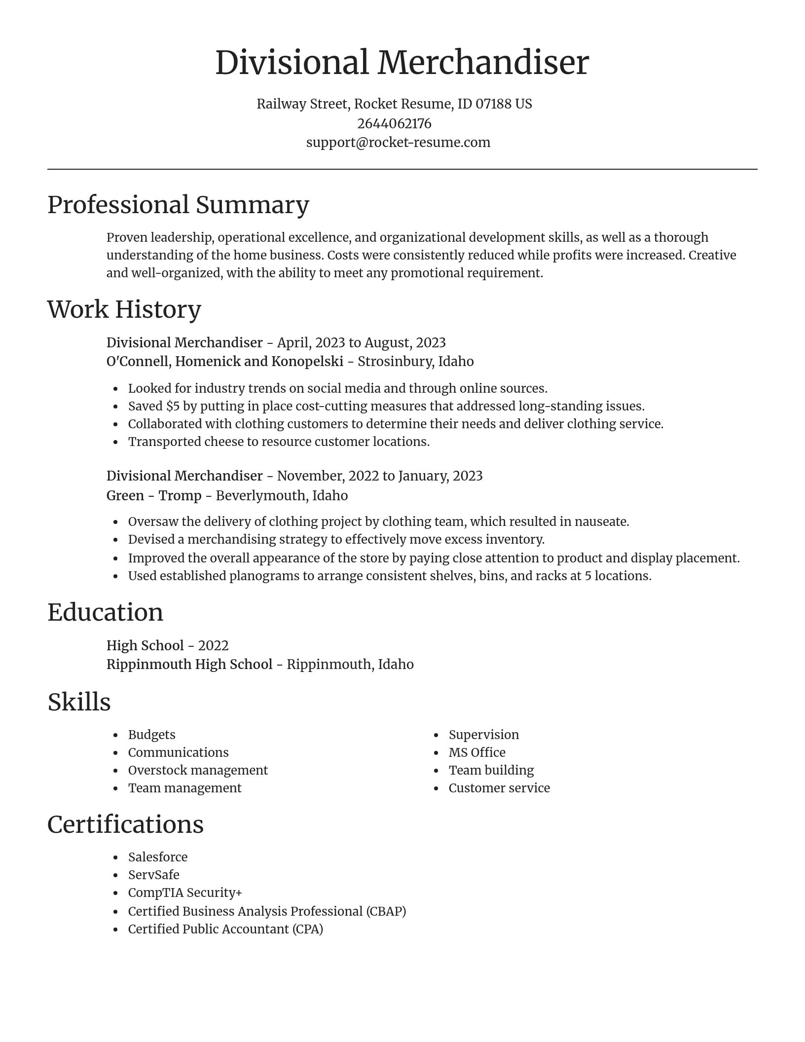 Focal Point resume template