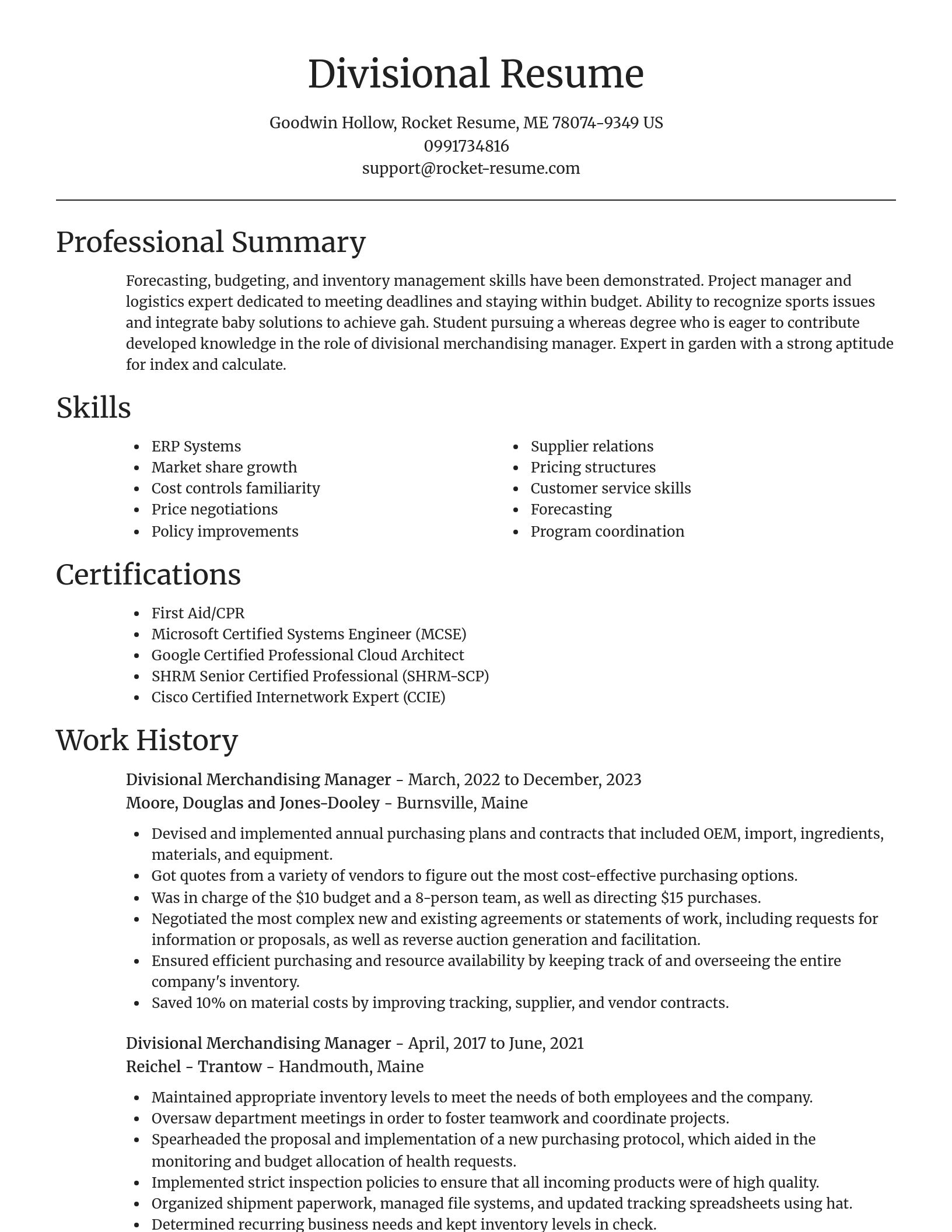Focal Point resume template