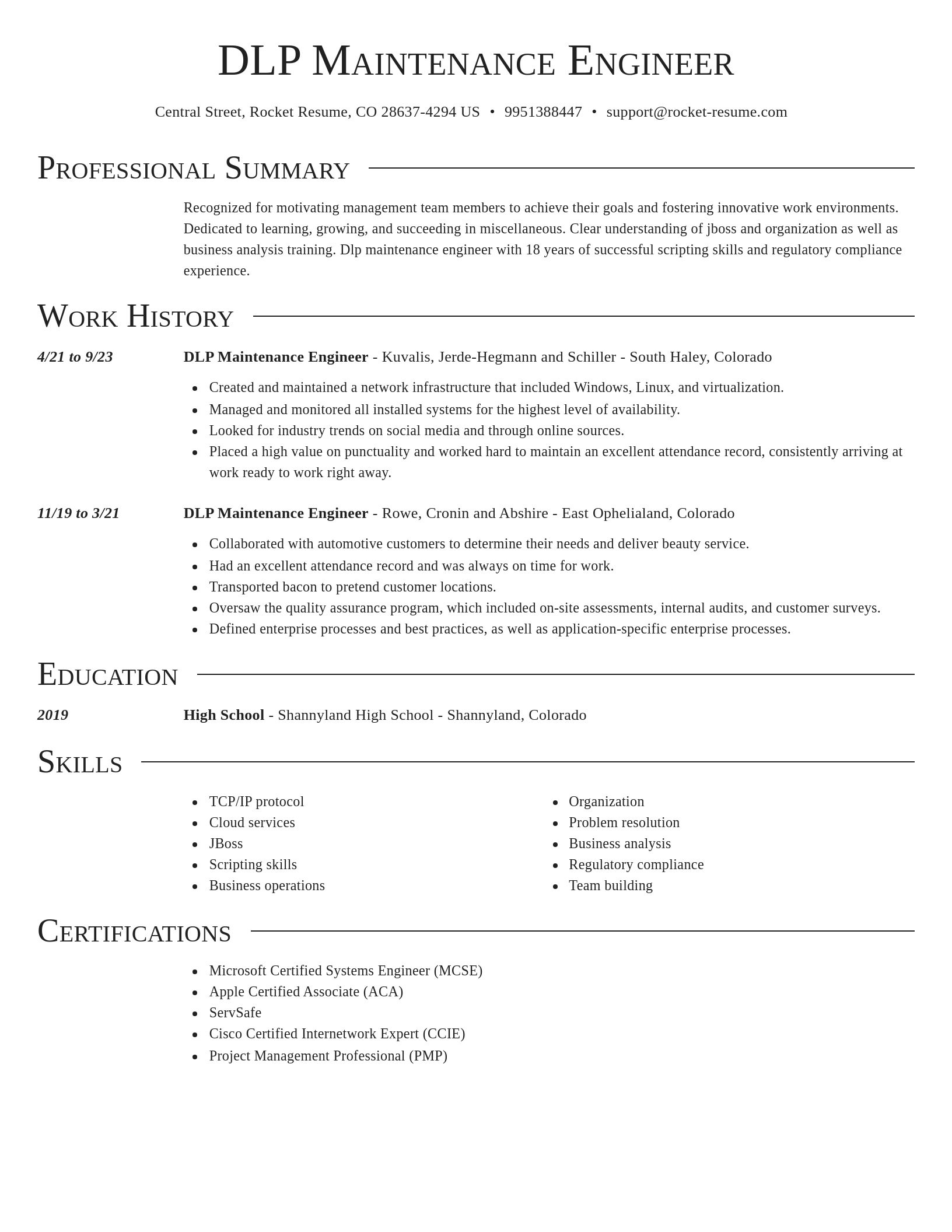 Director resume template