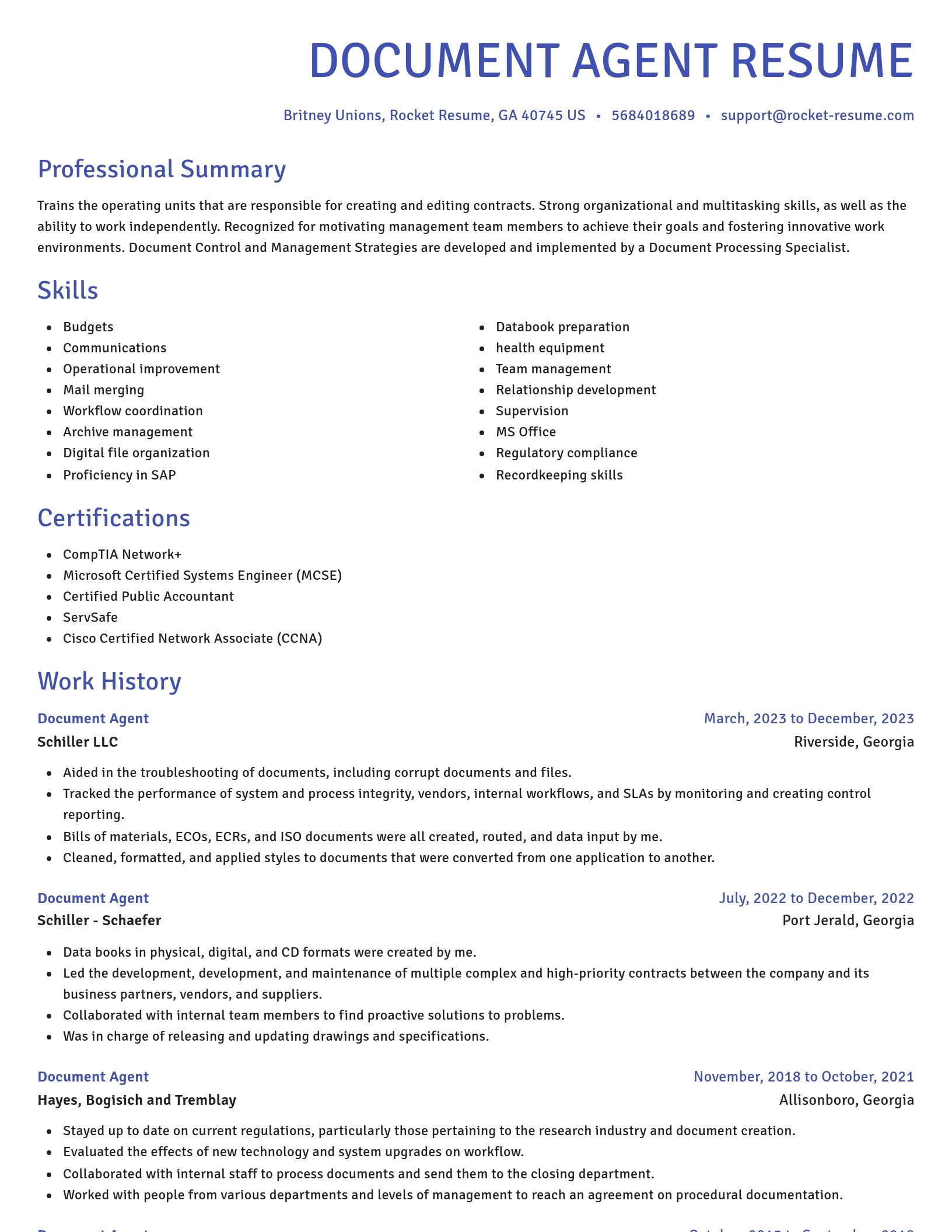 Novel resume template