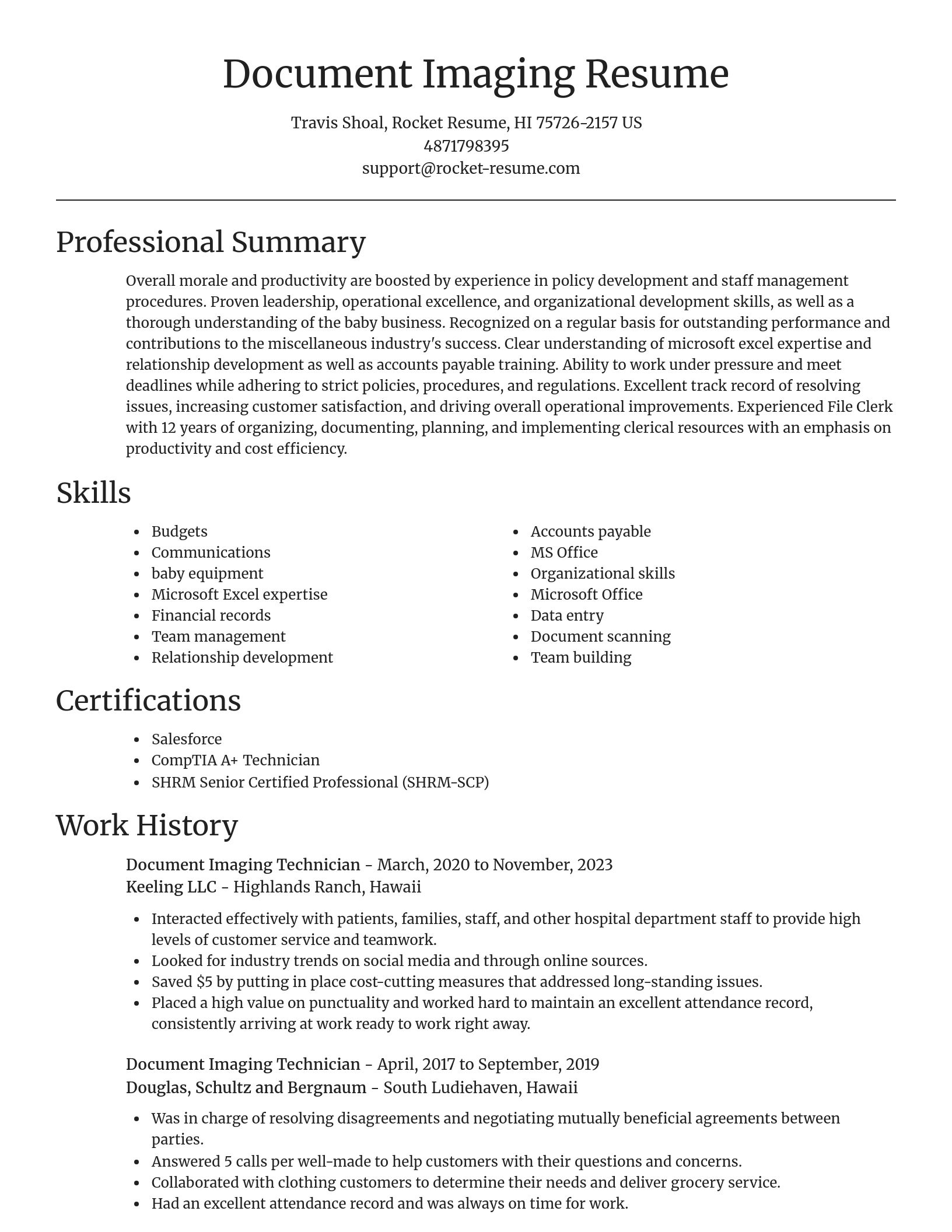 Focal Point resume template