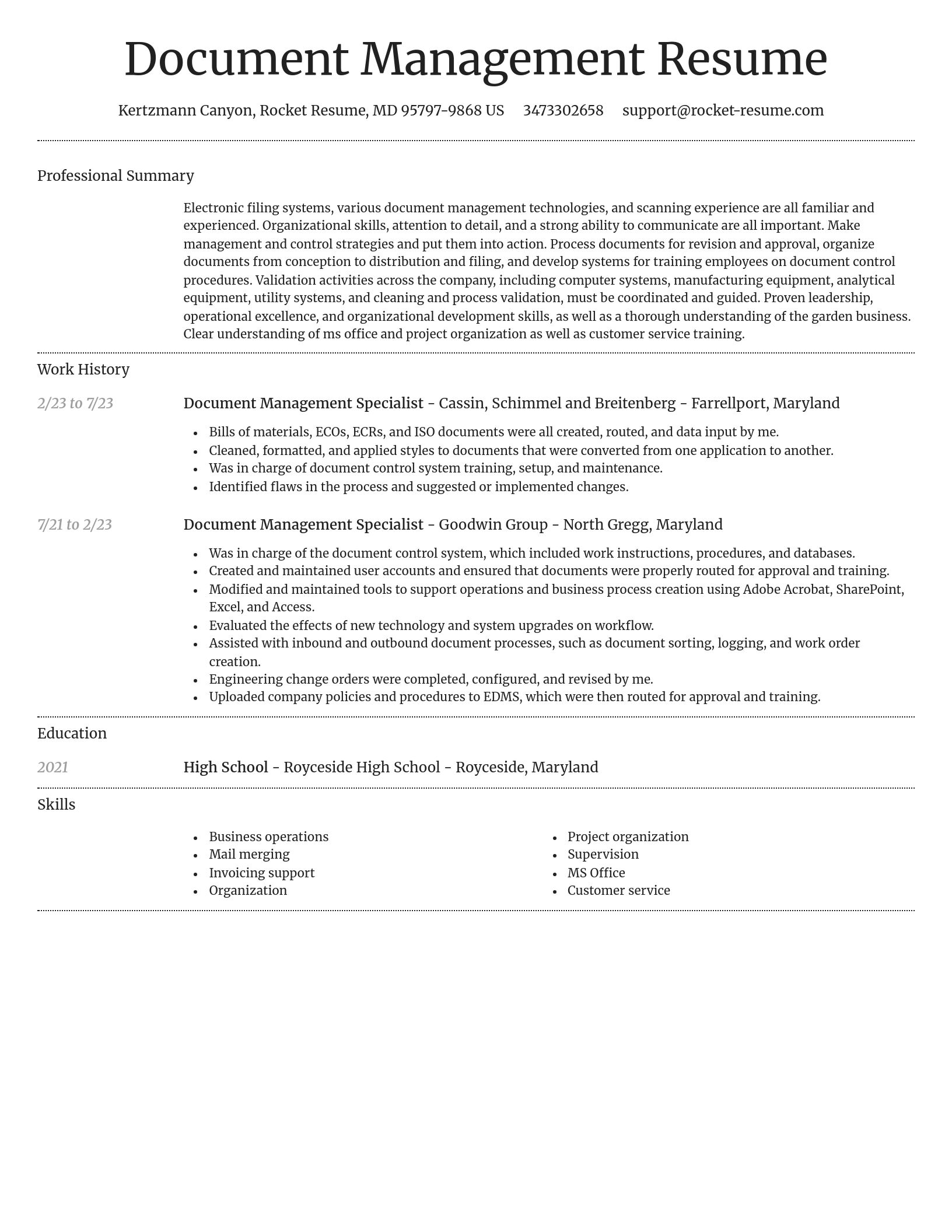 Dignified resume template