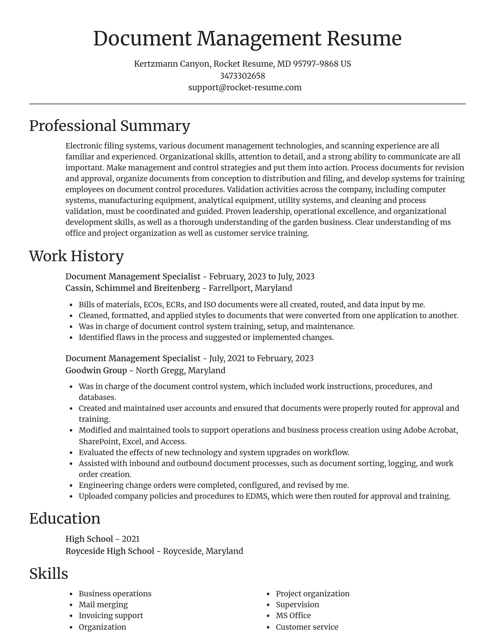 Focal Point resume template