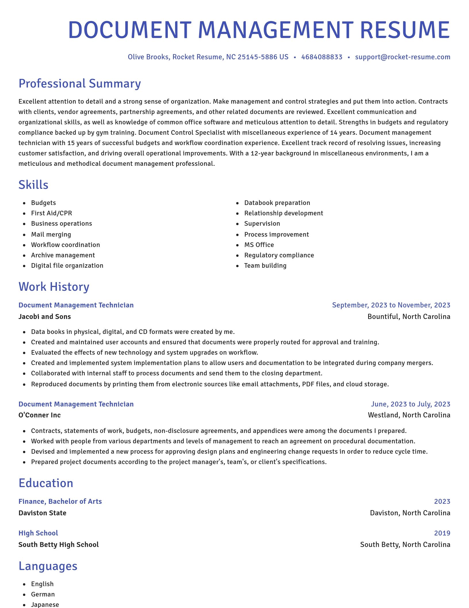Novel resume template