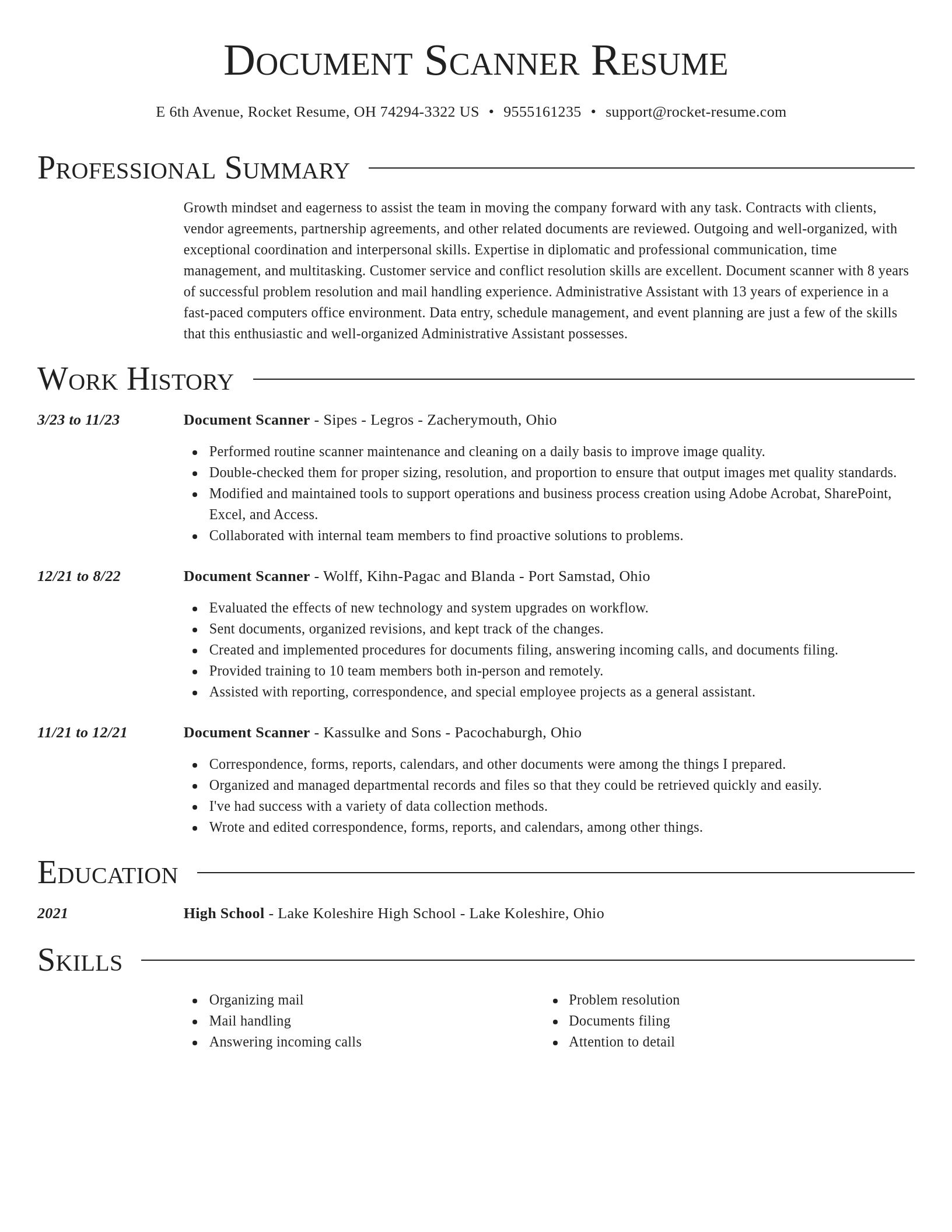 Director resume template