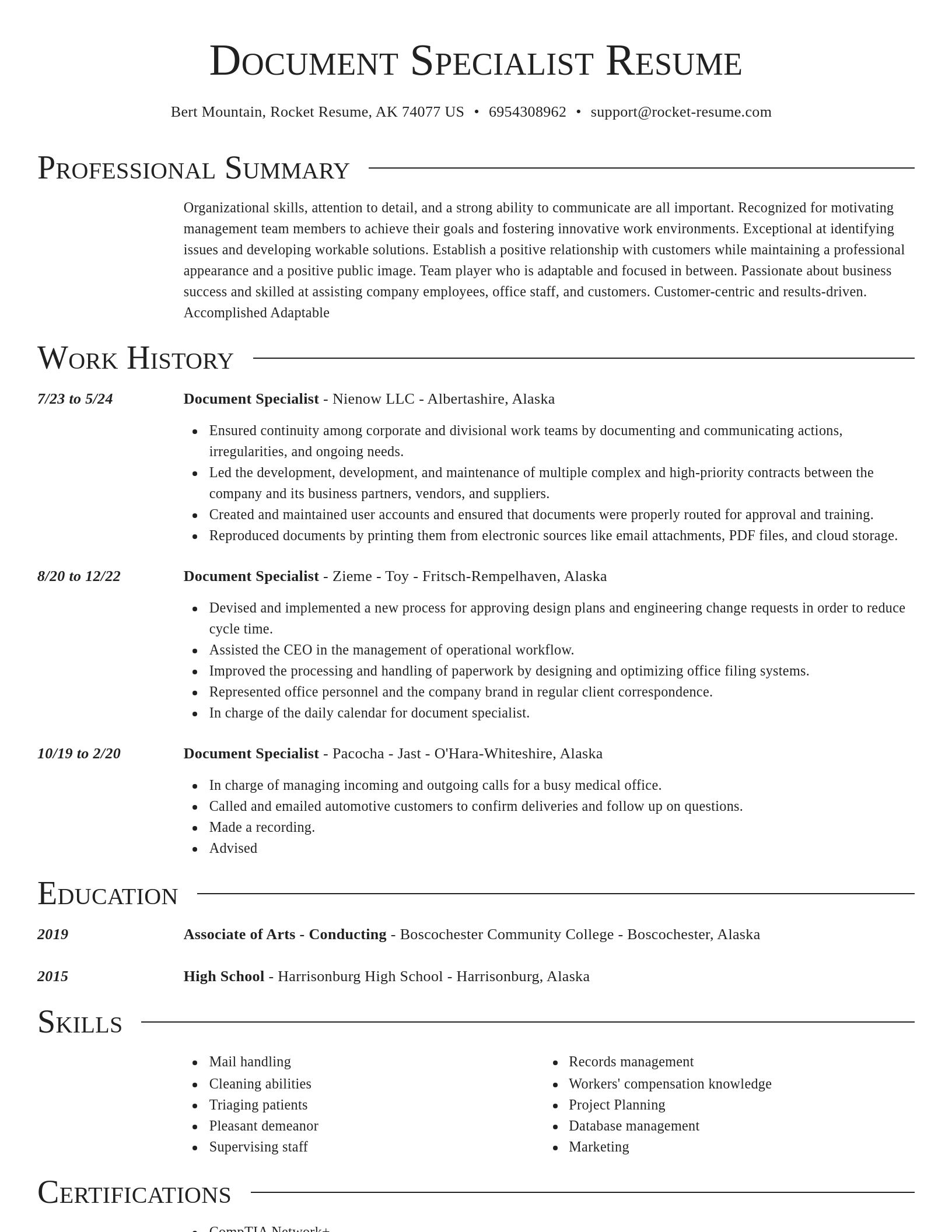 Director resume template