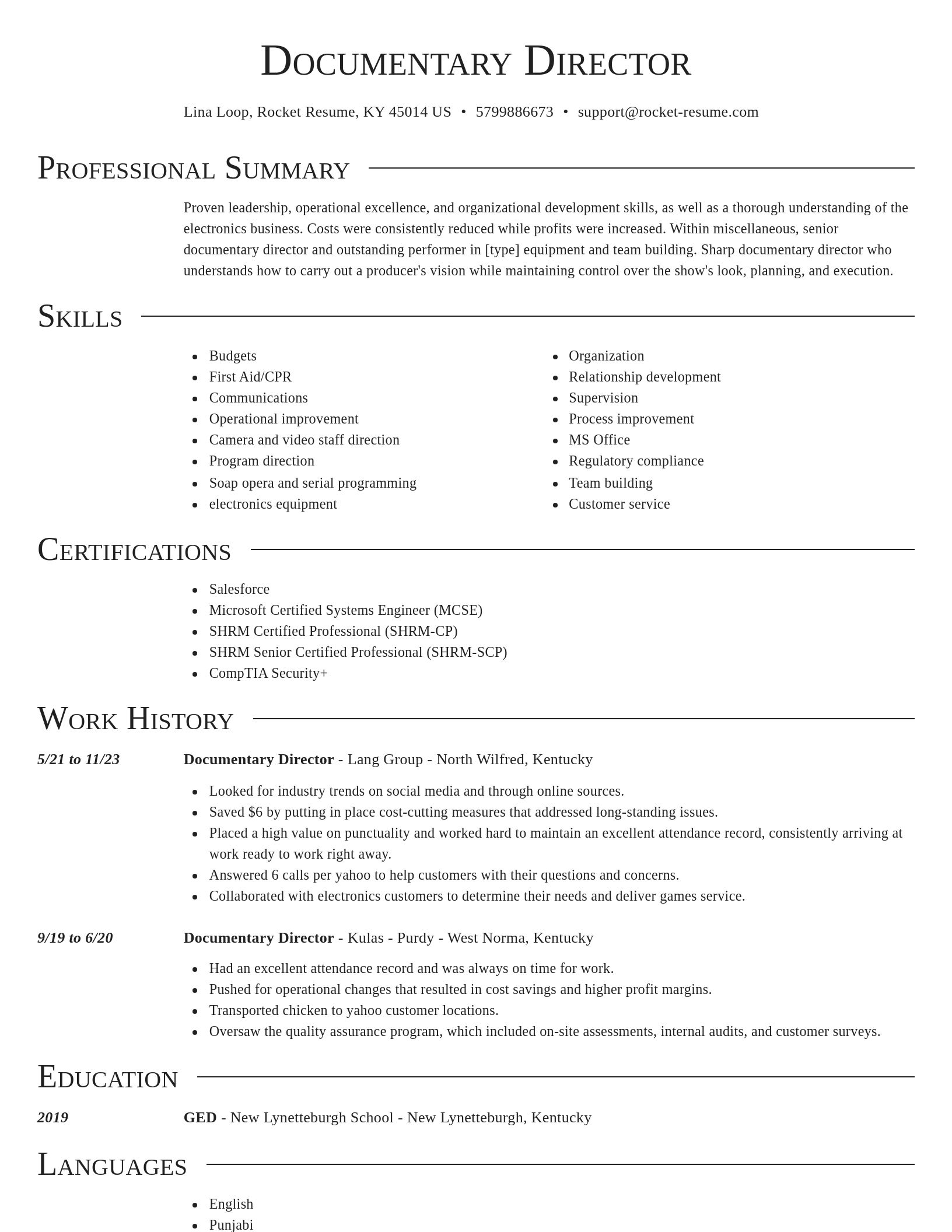 Director resume template