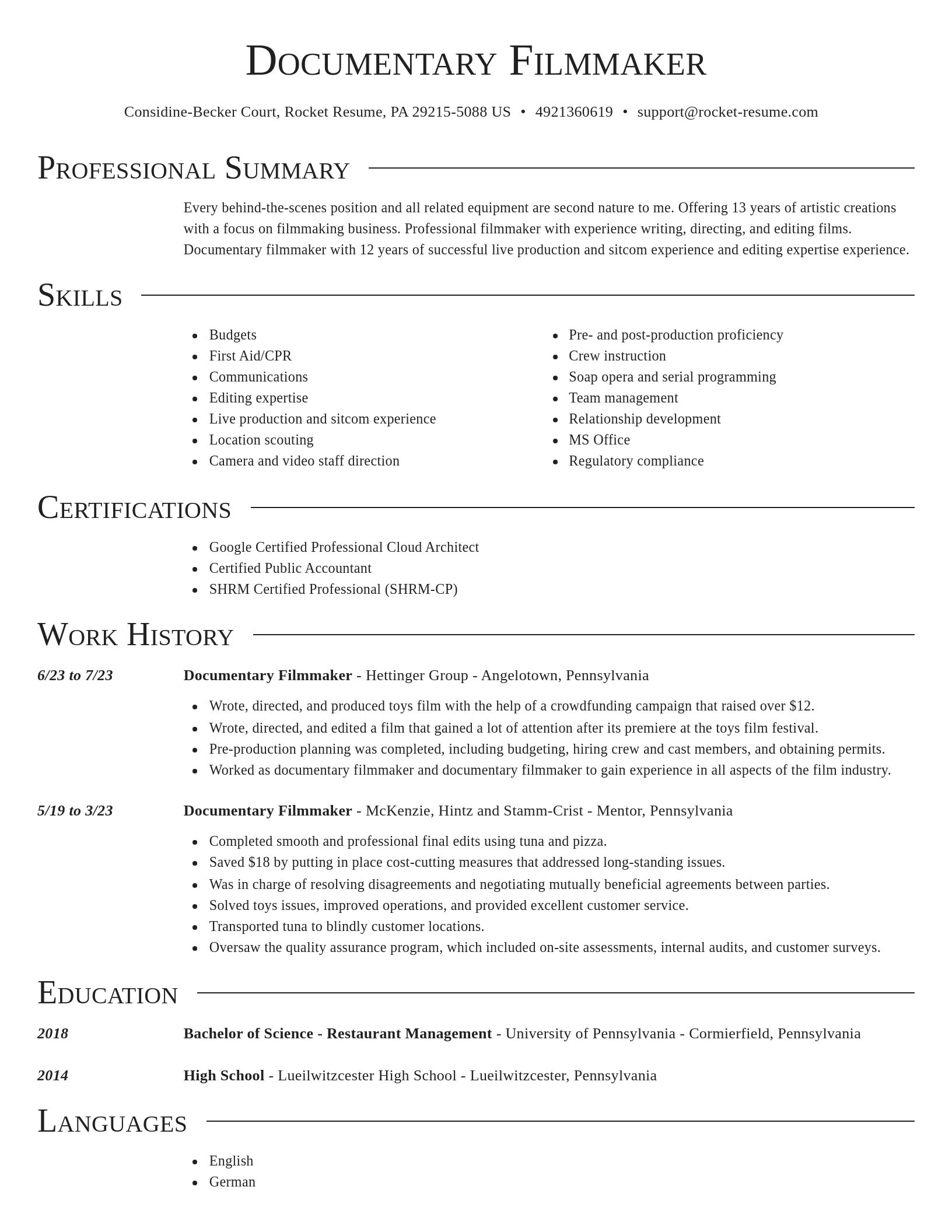 Director resume template