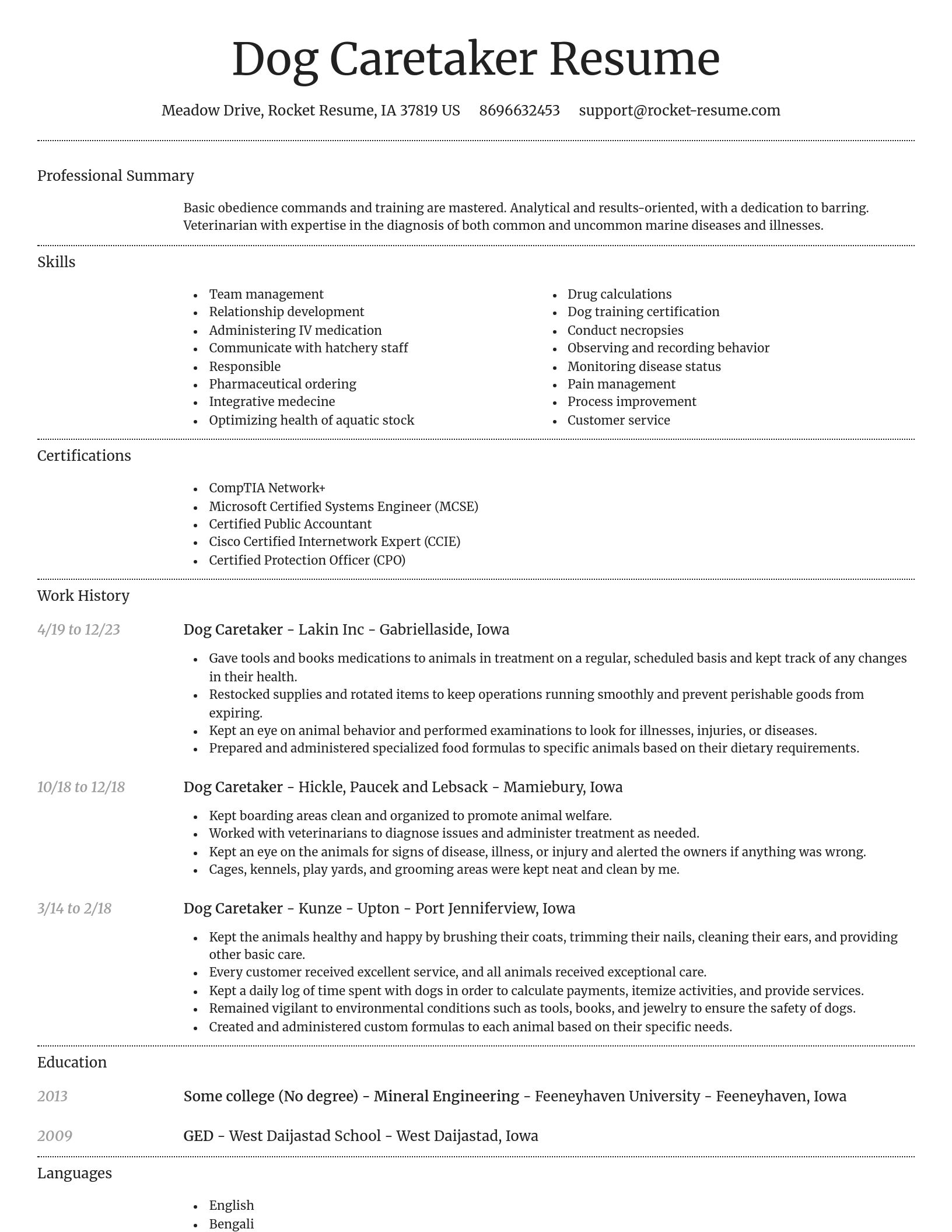 Dignified resume template
