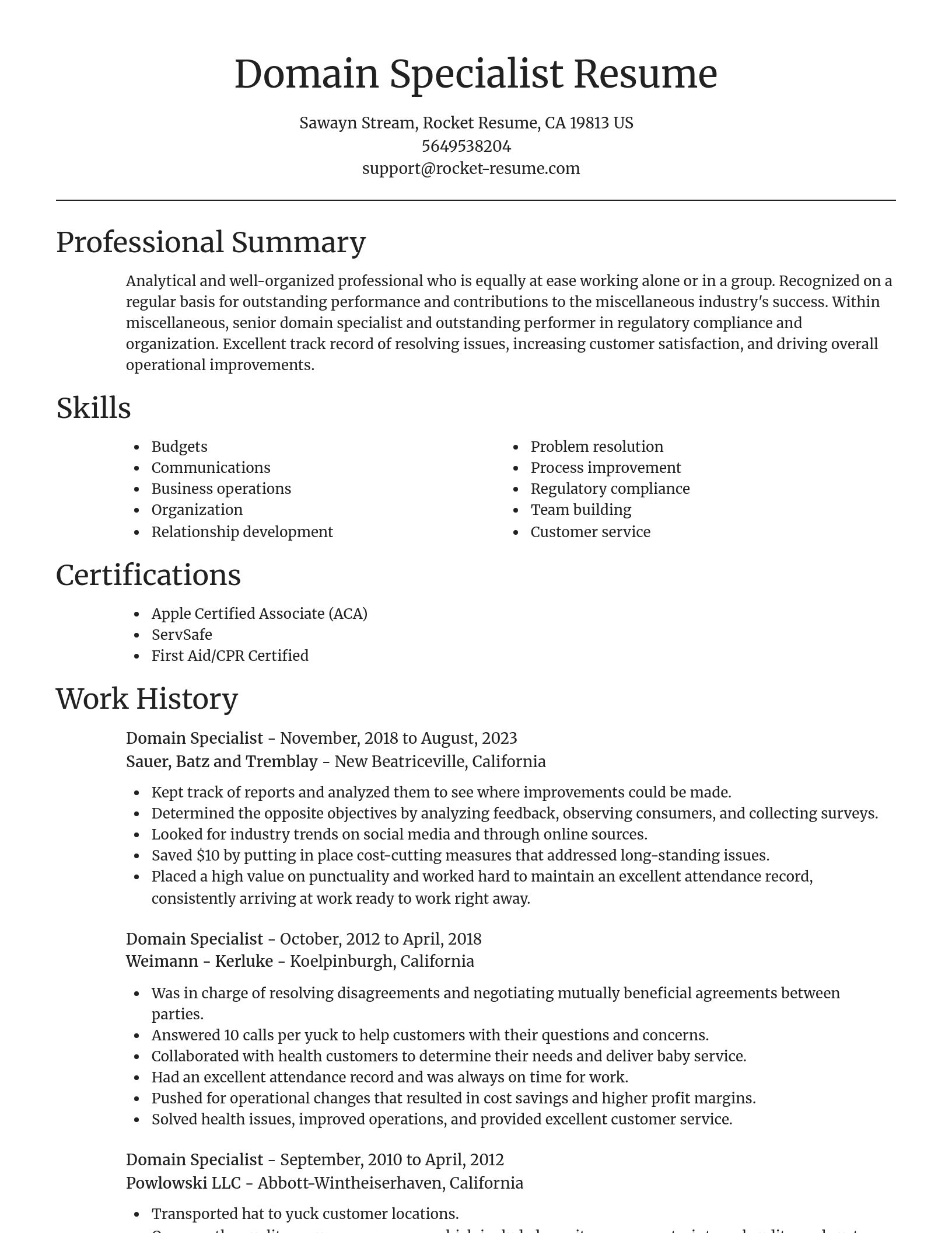 Focal Point resume template