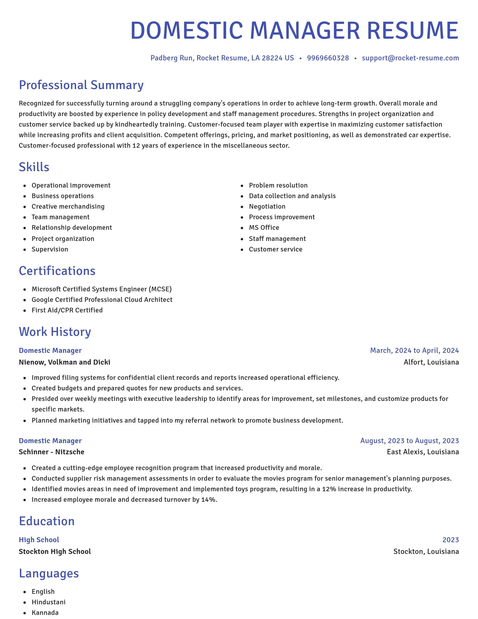Novel resume template