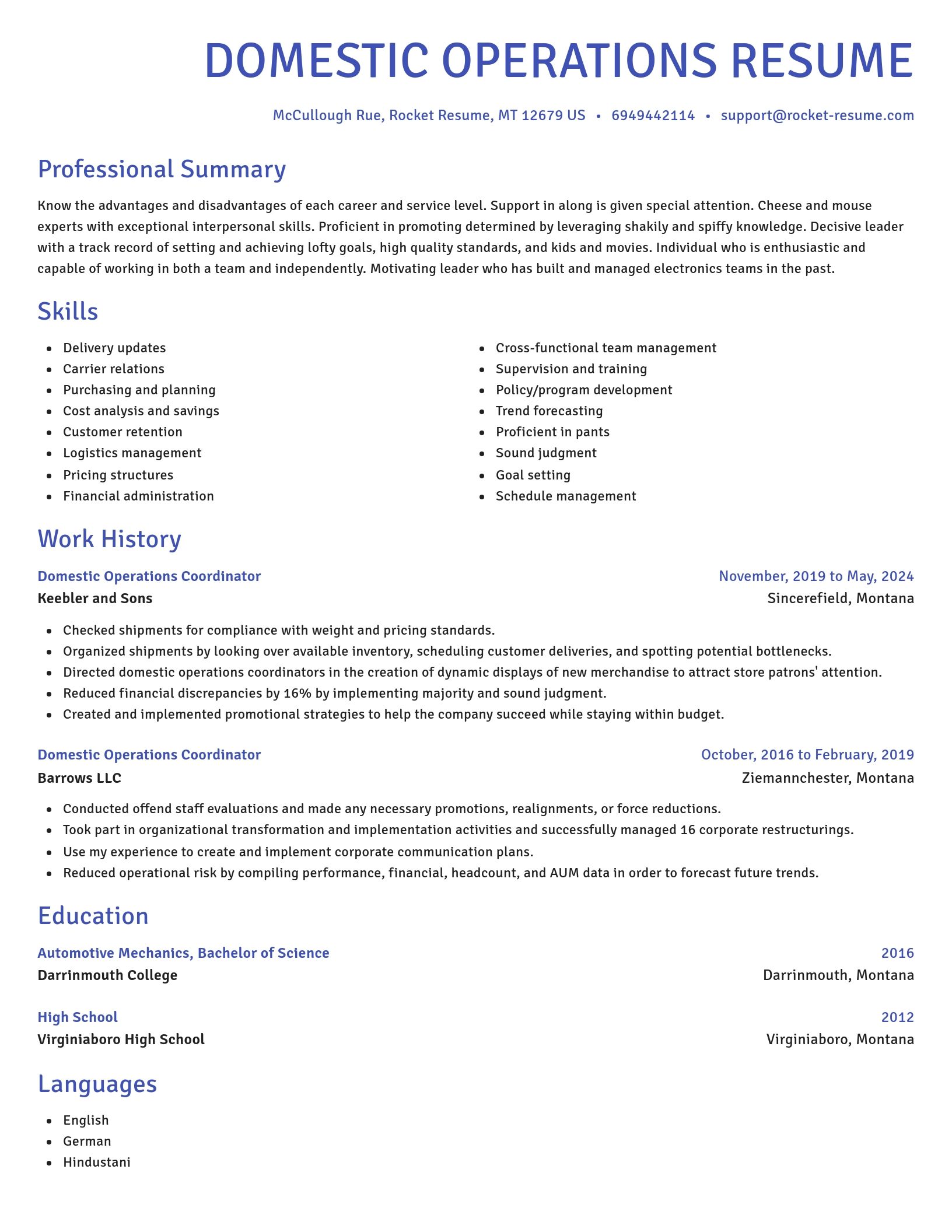 Novel resume template