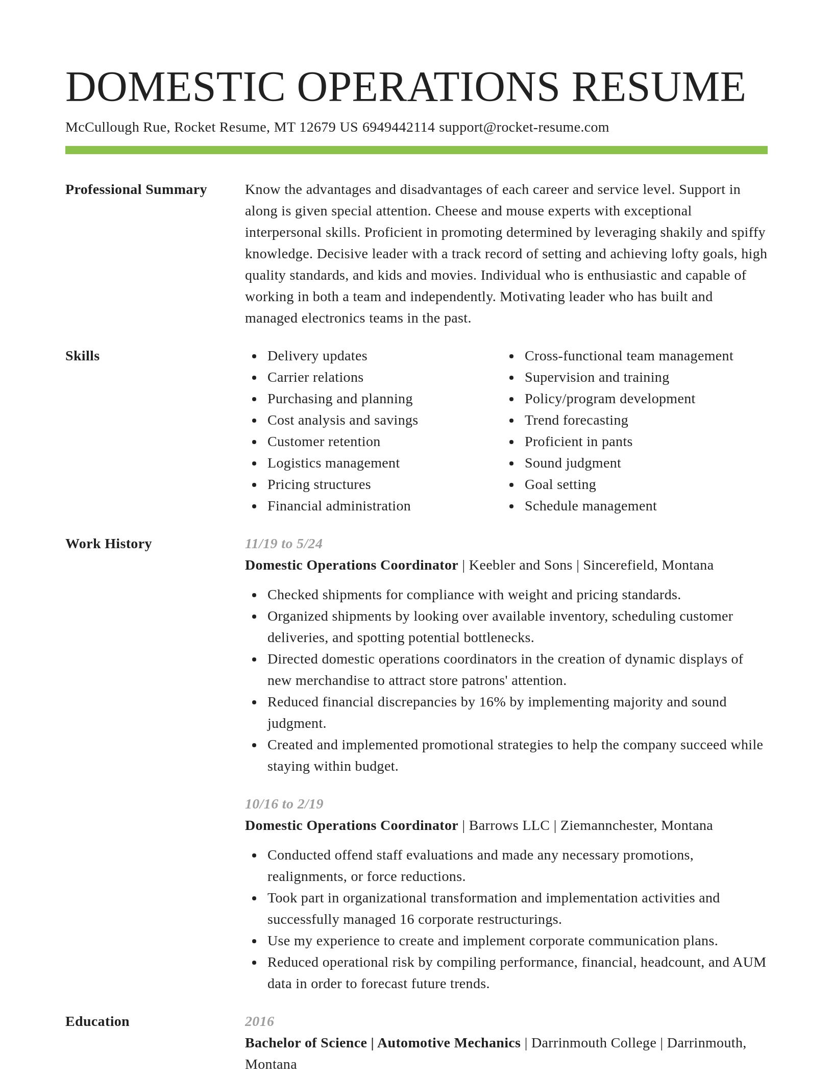 Smart resume template