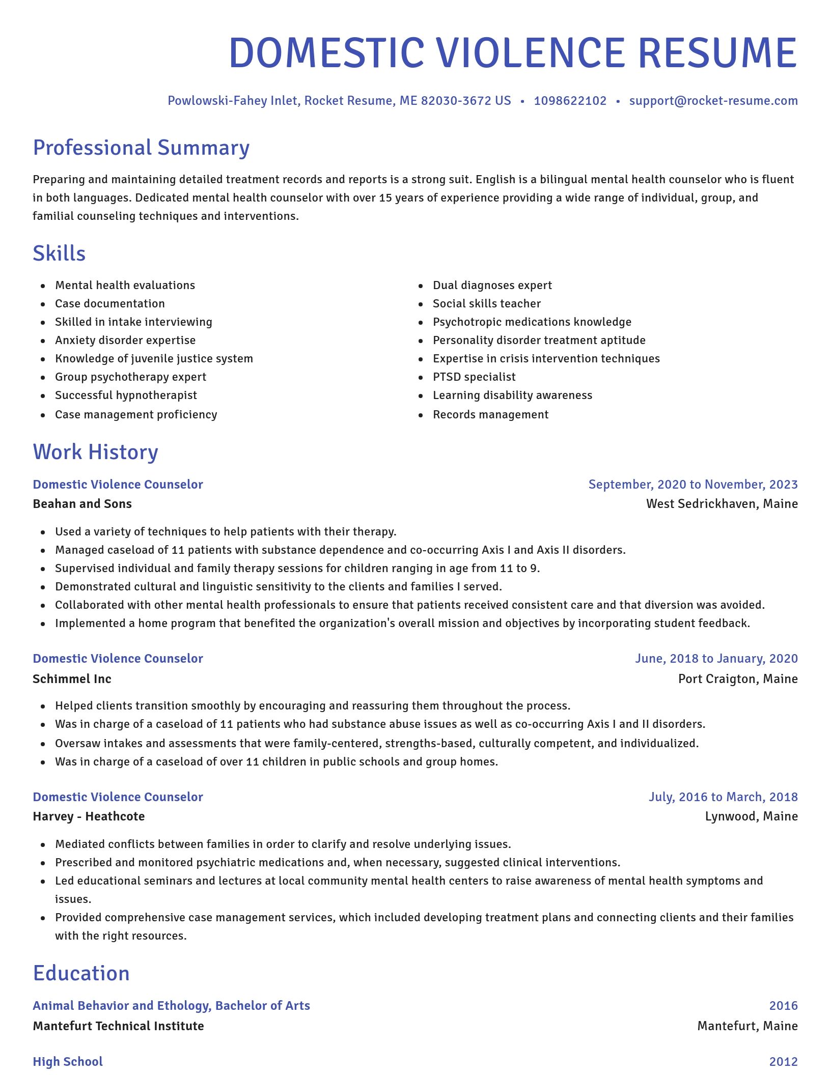 Novel resume template
