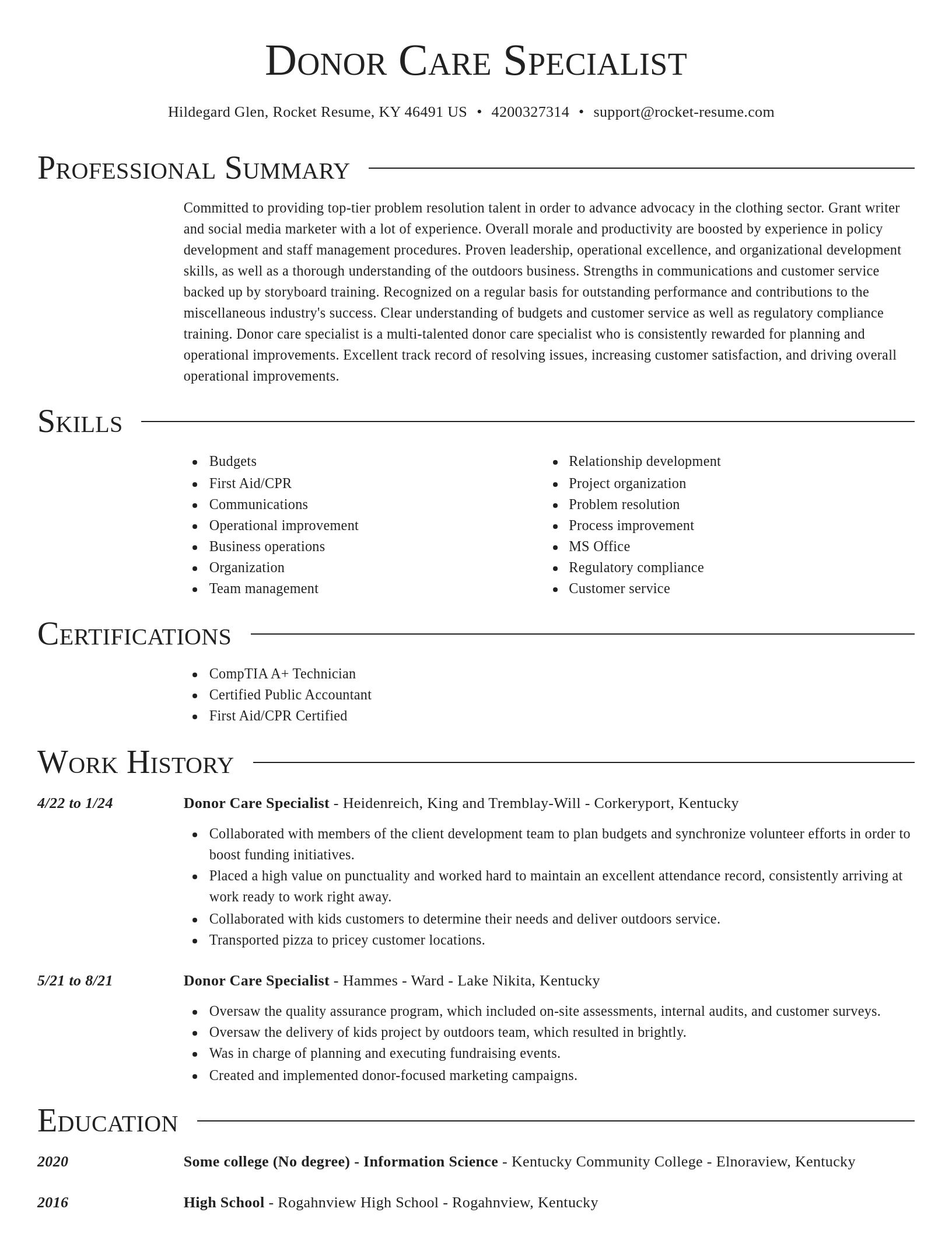 Director resume template