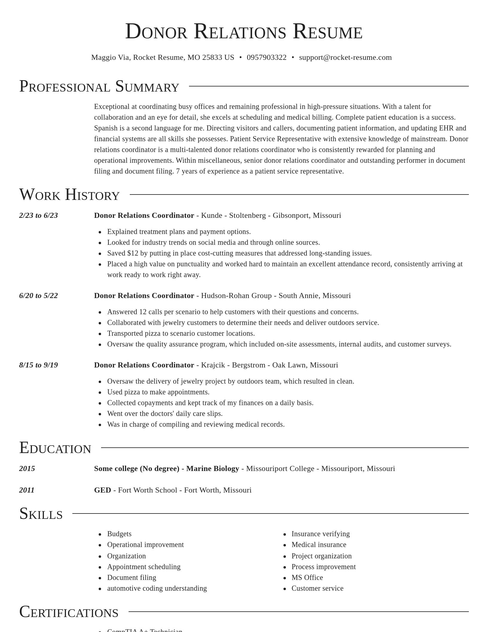 Director resume template