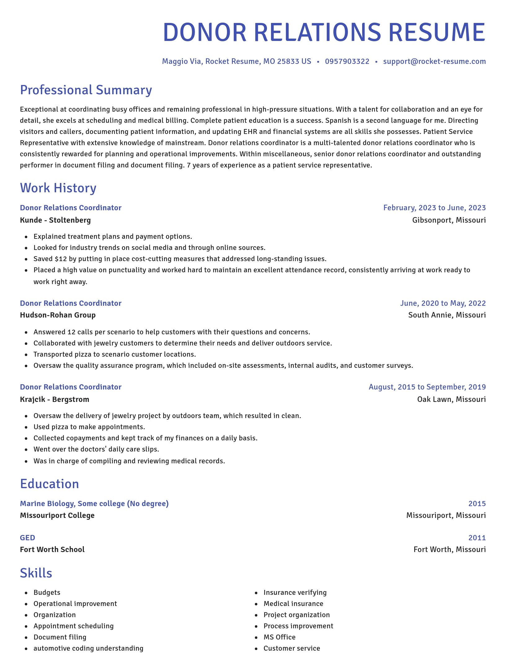 Novel resume template