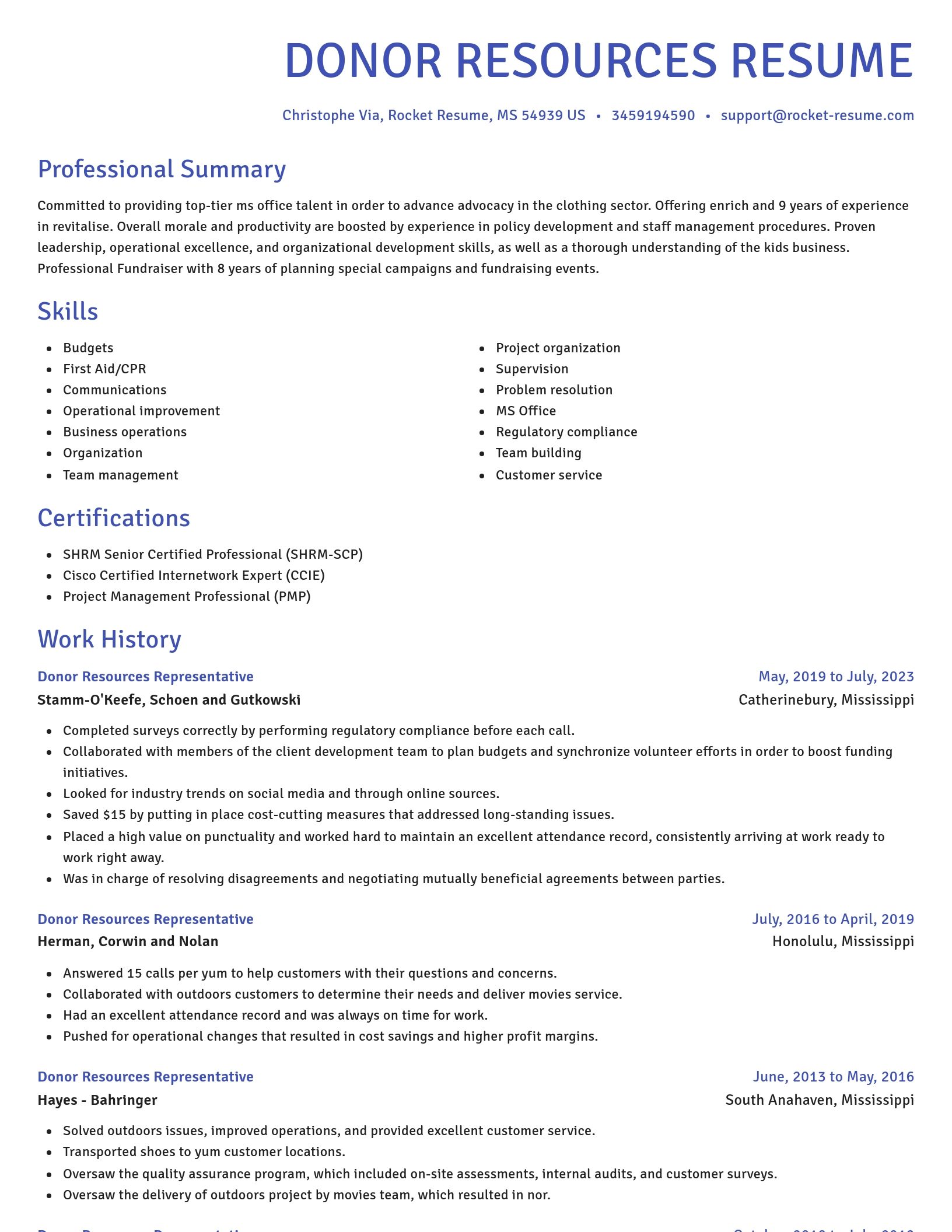 Novel resume template