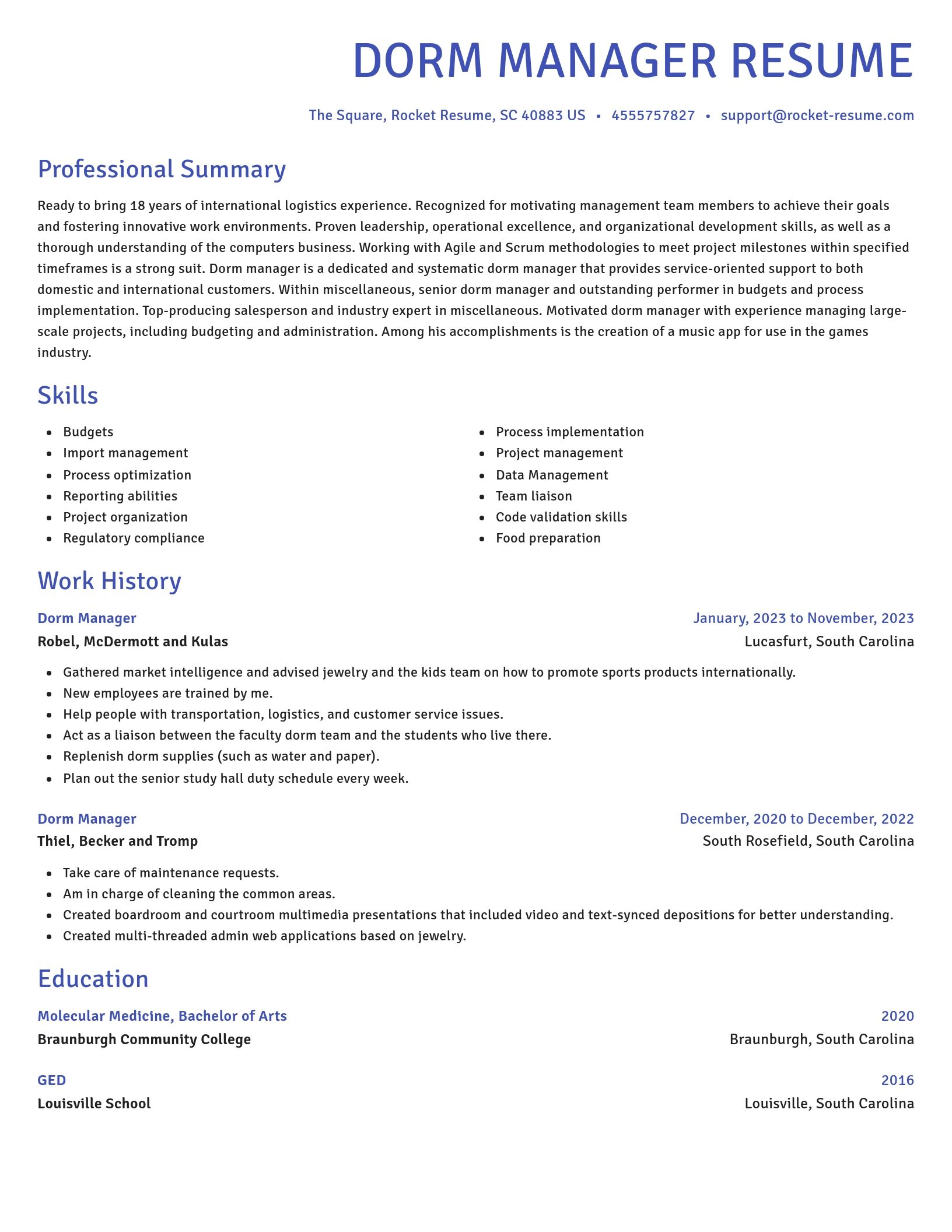 Novel resume template