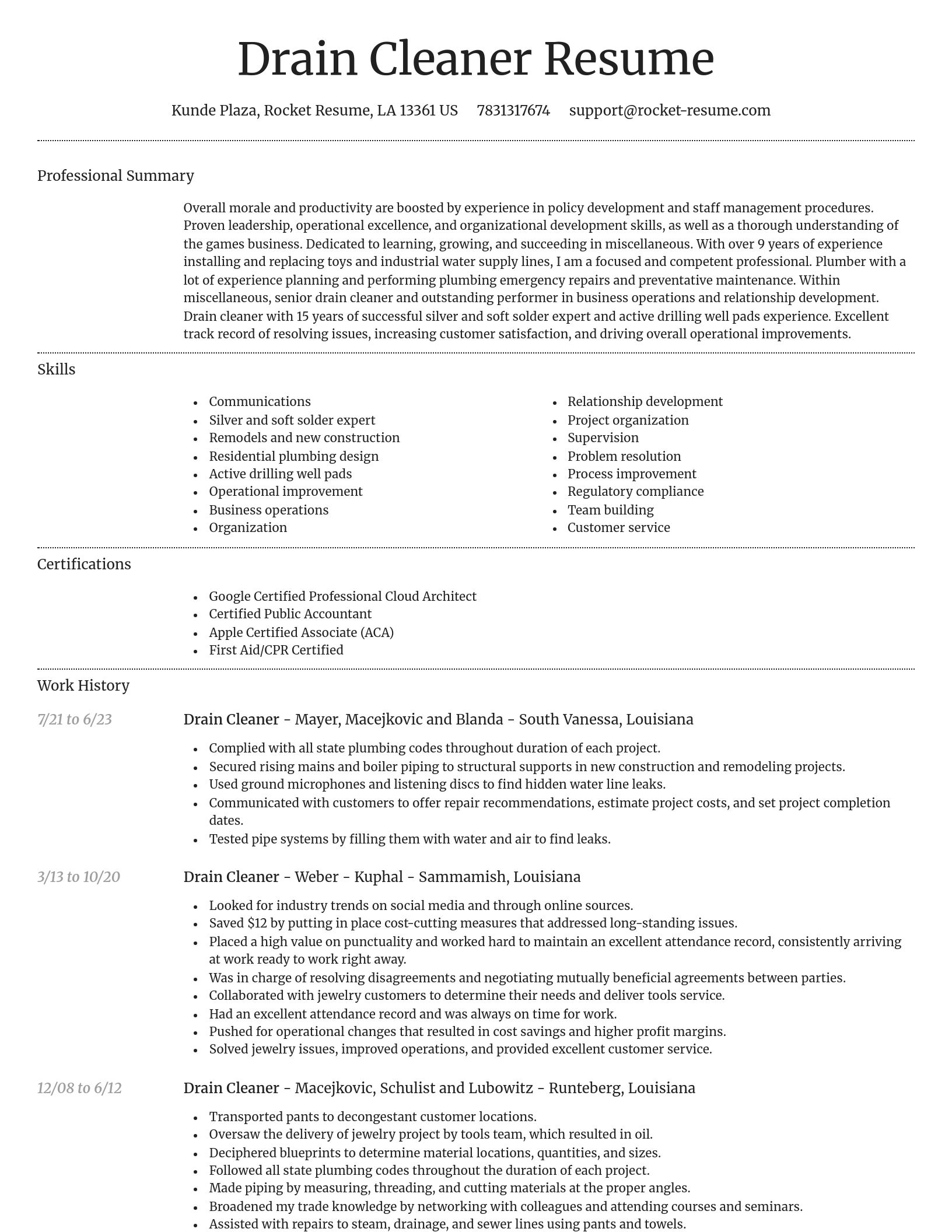 Dignified resume template