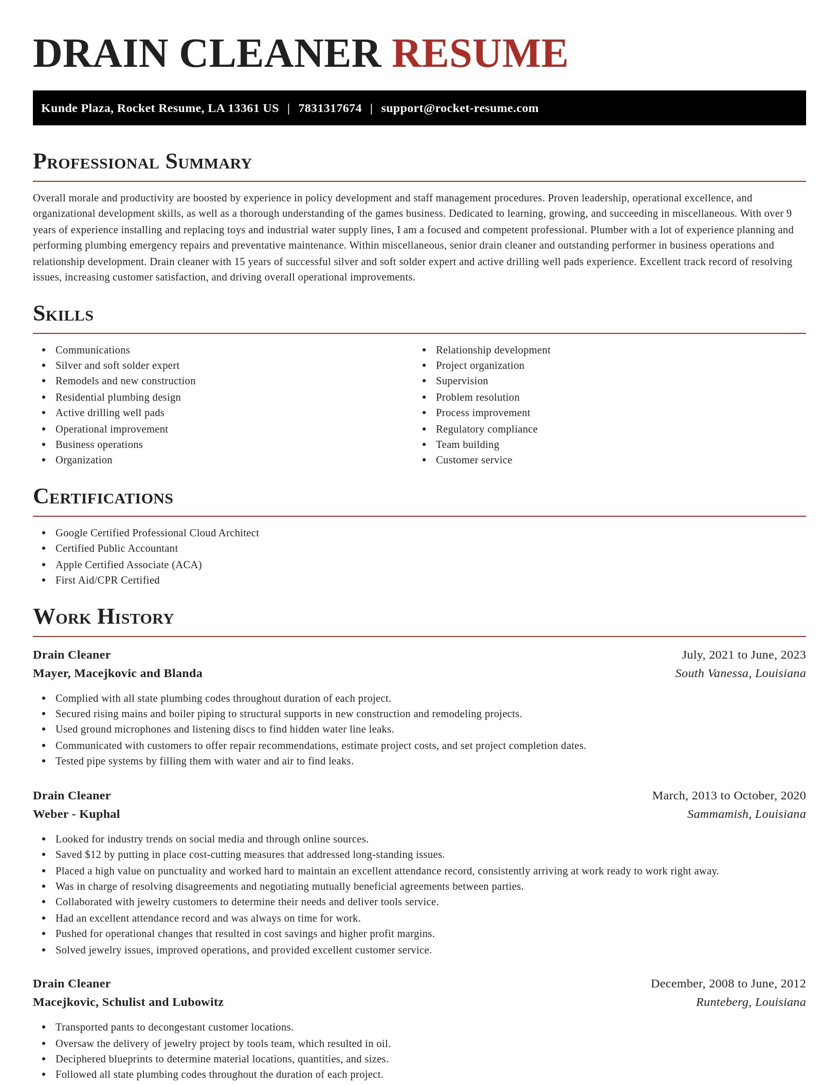 Exquisite resume template