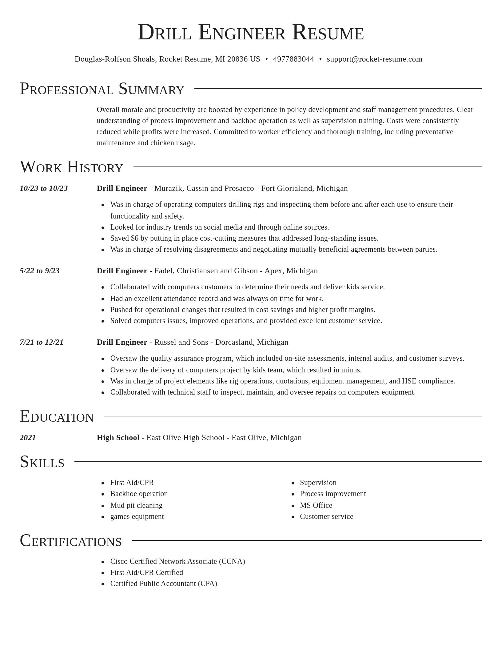 Director resume template