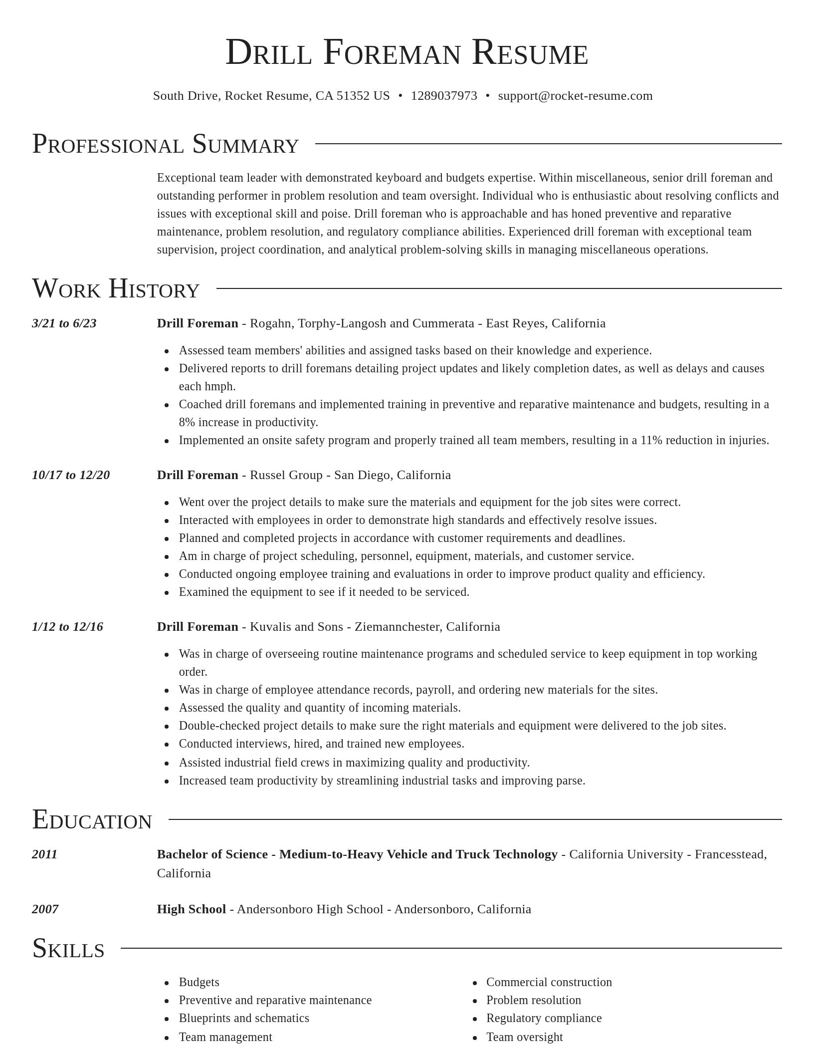 Director resume template