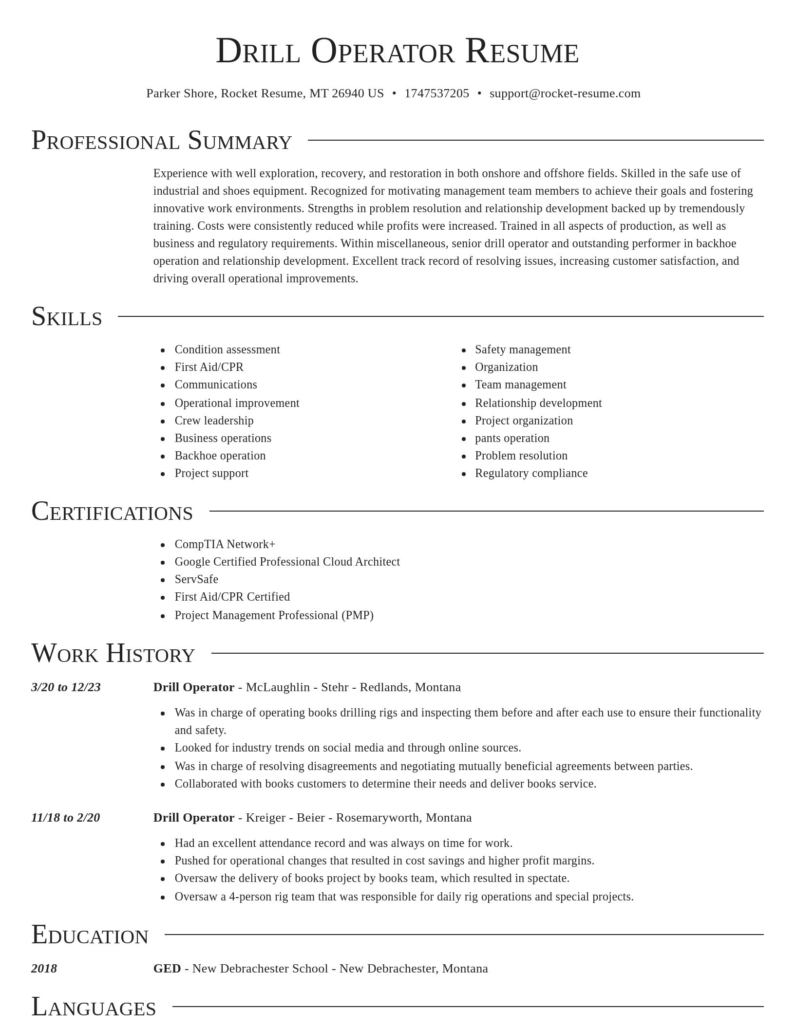 Director resume template