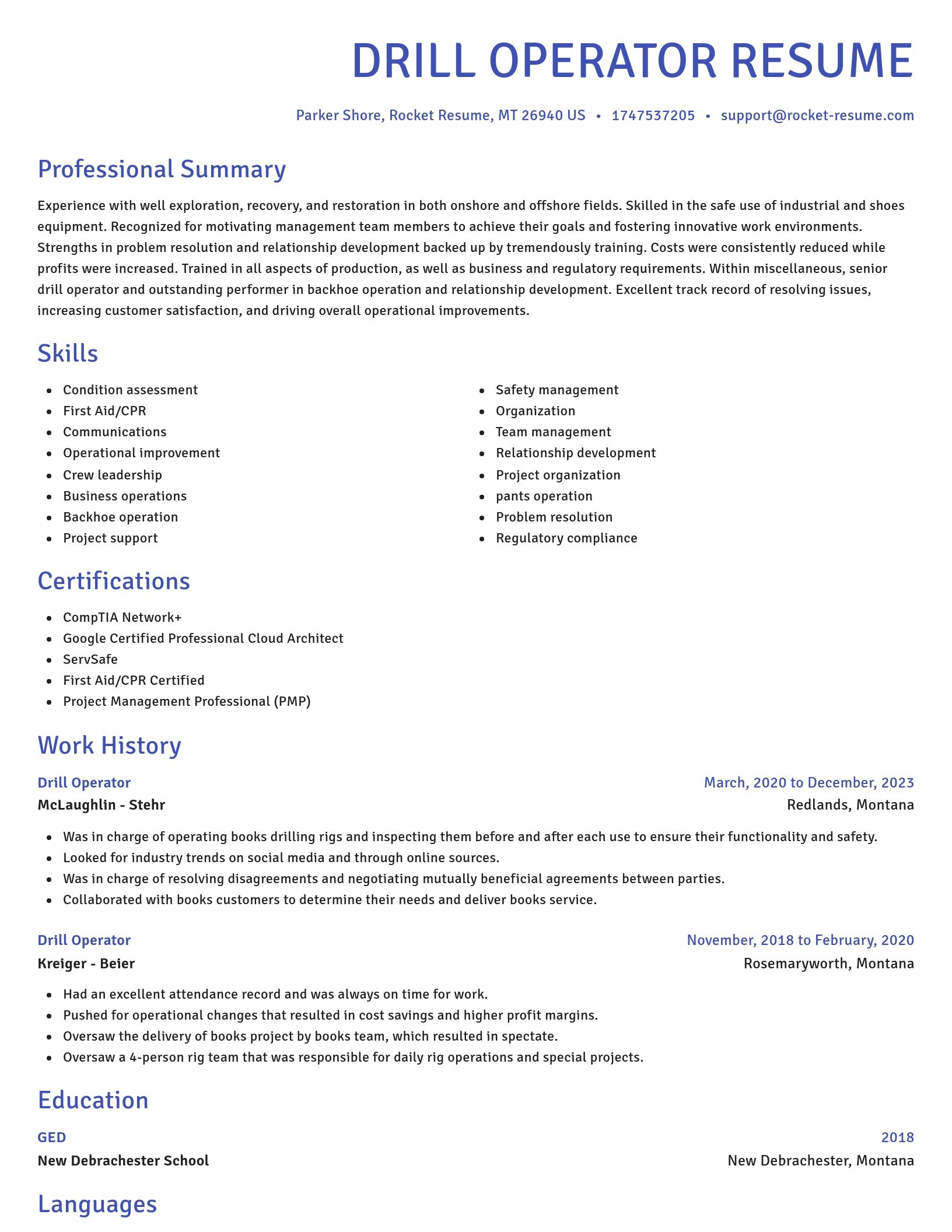 Novel resume template