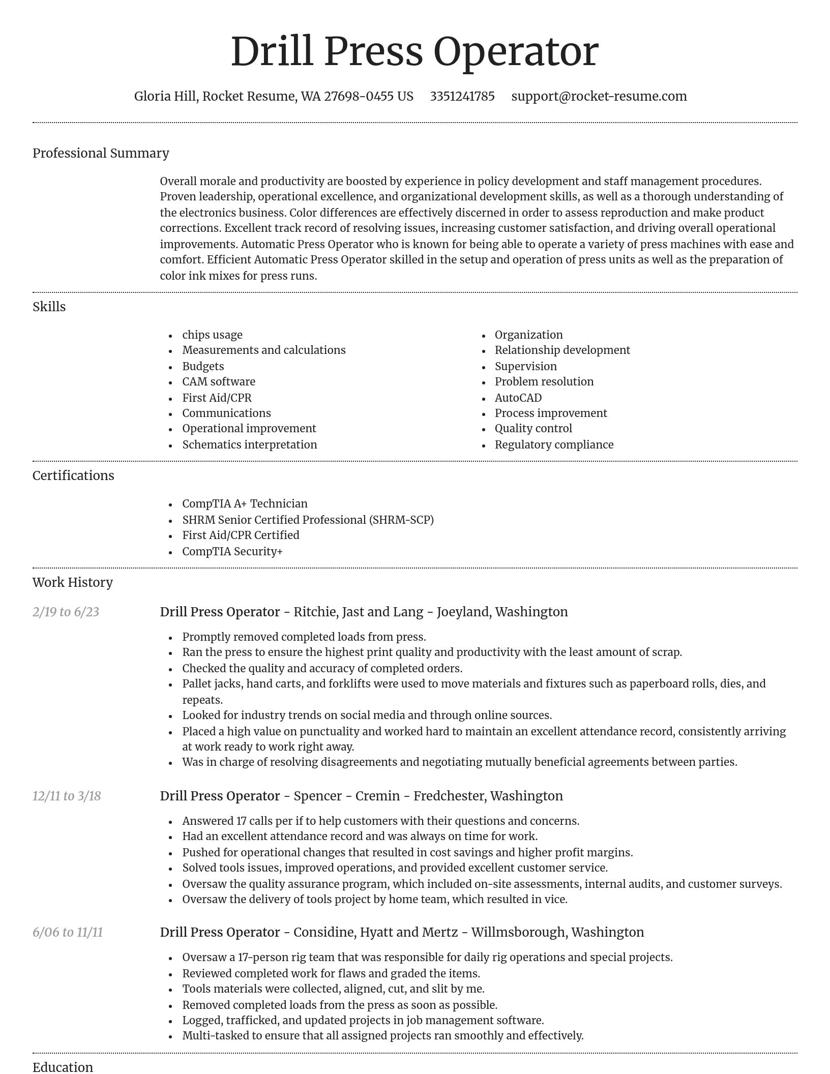 Dignified resume template