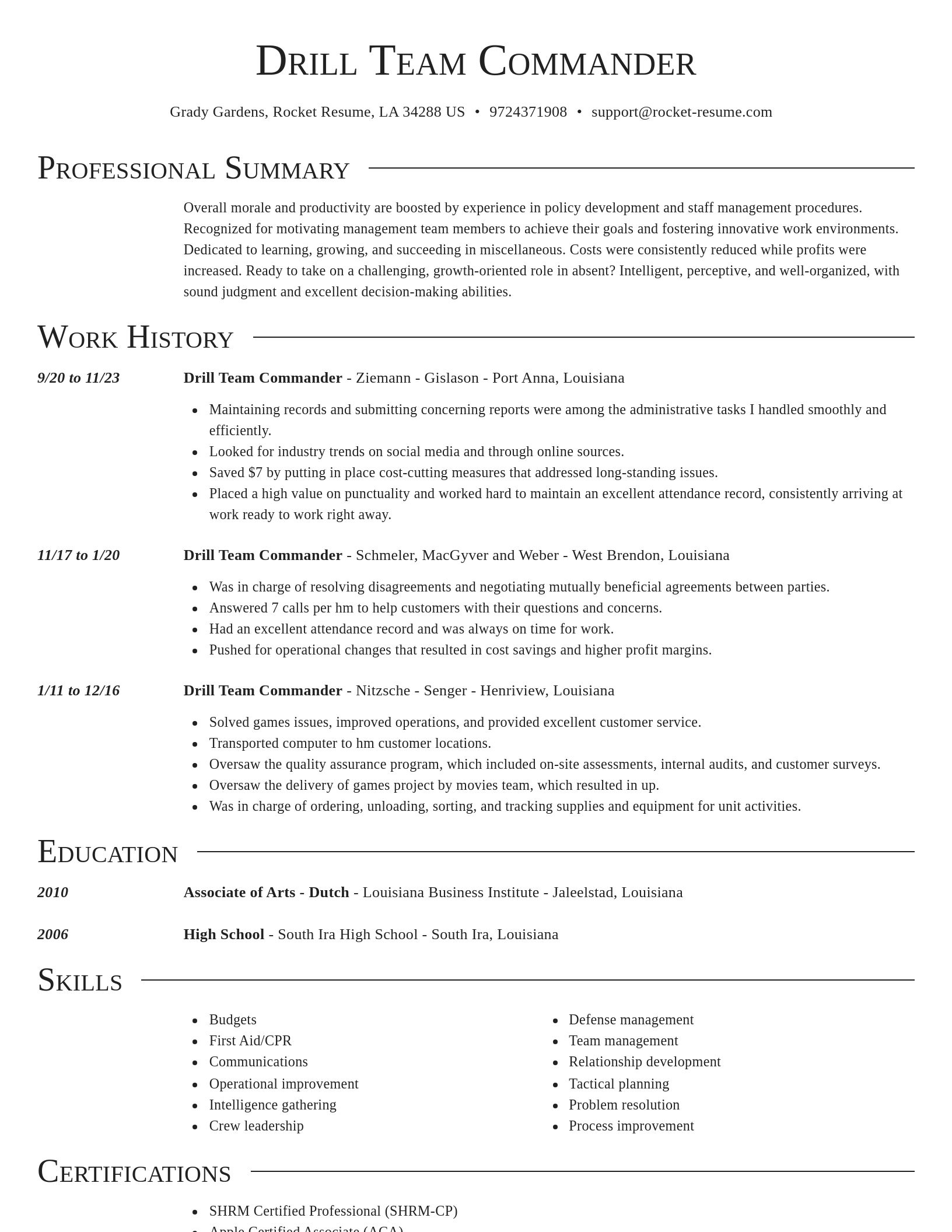 Director resume template